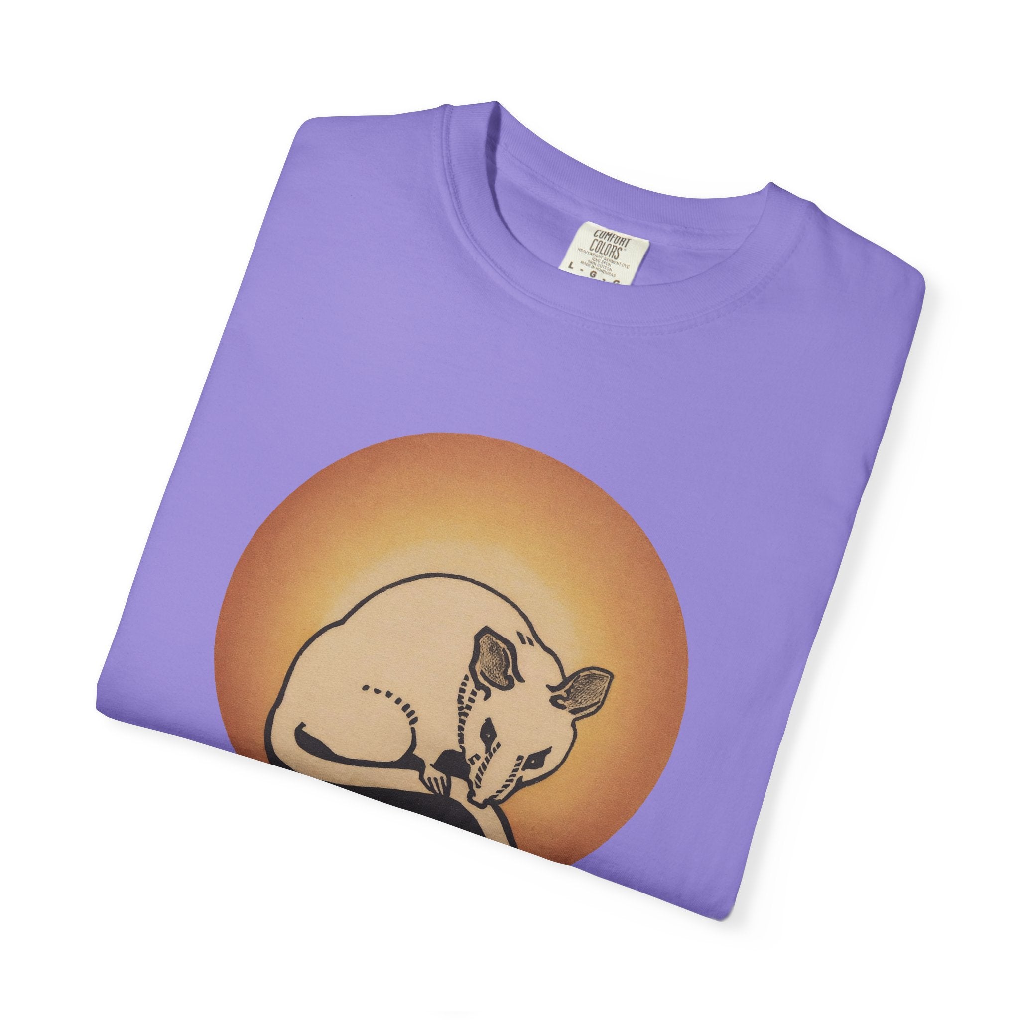 Sleeping Rat Graphic T-Shirt — Vintage Sunset Rodent Tee