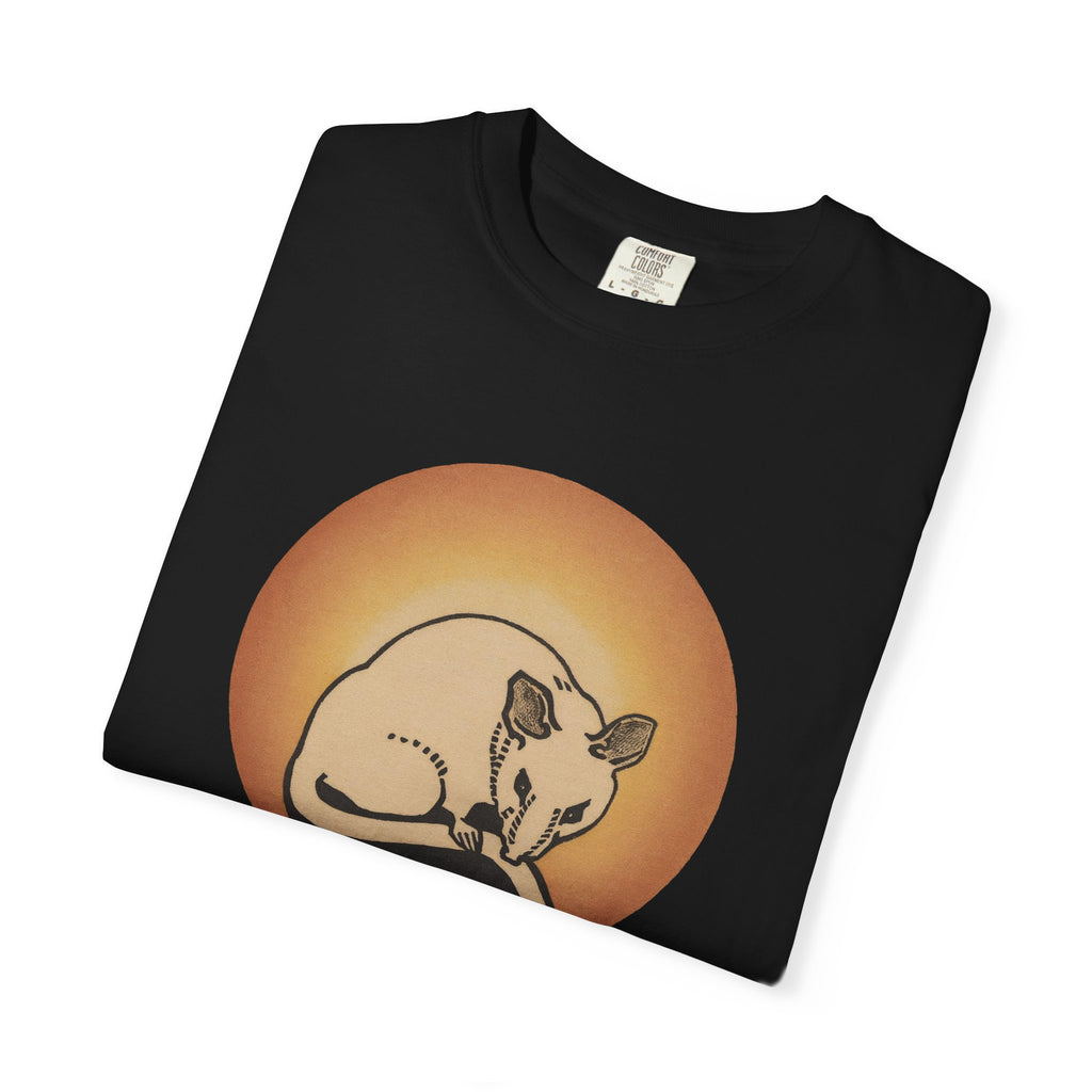 Sleeping Rat Graphic T-Shirt — Vintage Sunset Rodent Tee