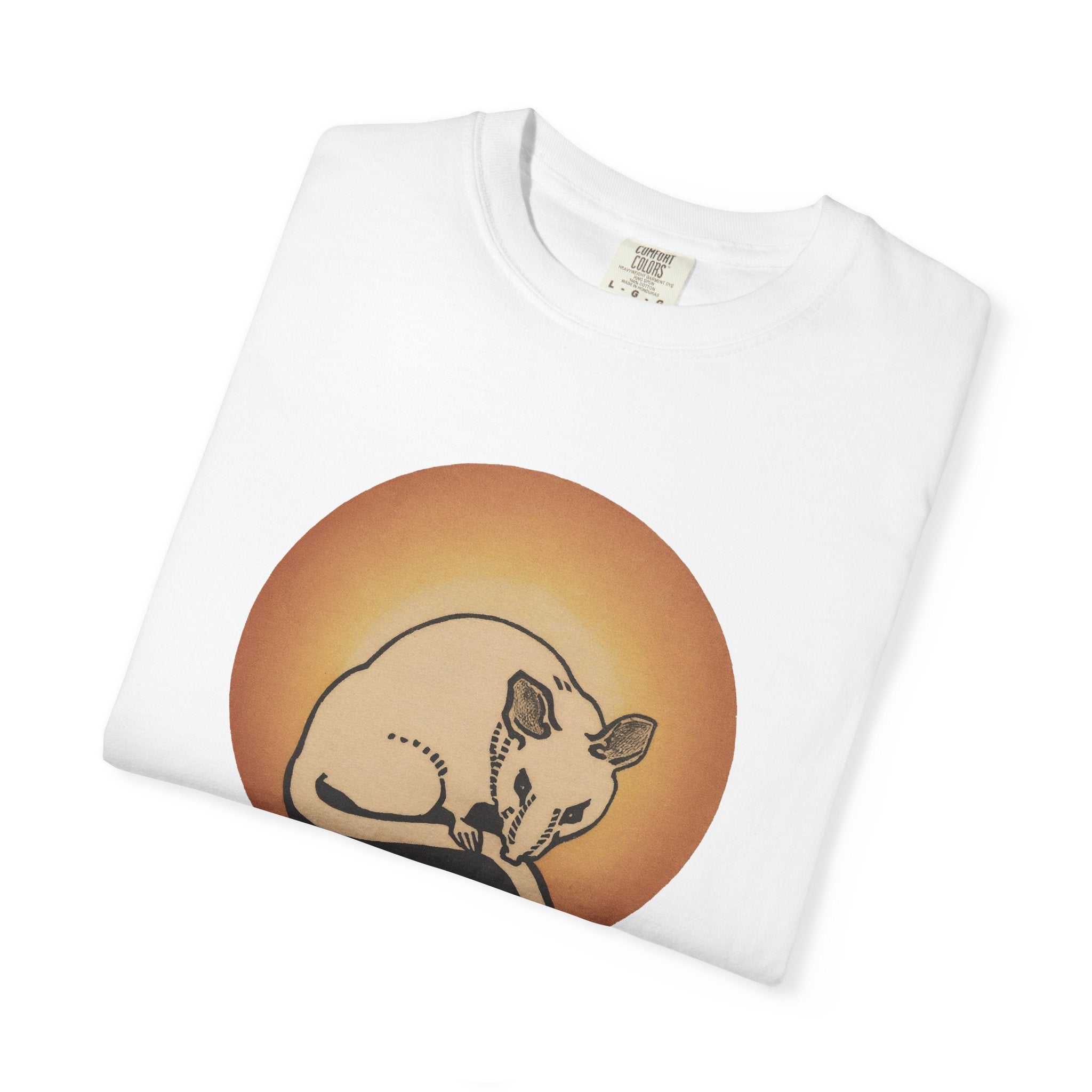 Sleeping Rat Graphic T-Shirt — Vintage Sunset Rodent Tee