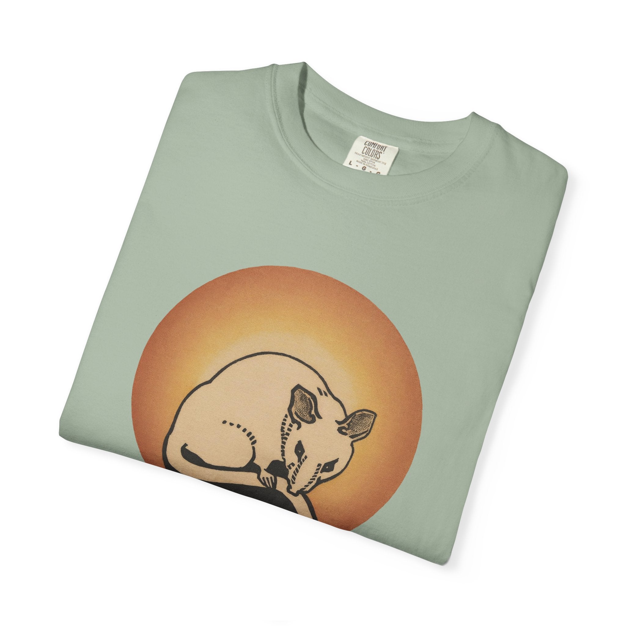 Sleeping Rat Graphic T-Shirt — Vintage Sunset Rodent Tee