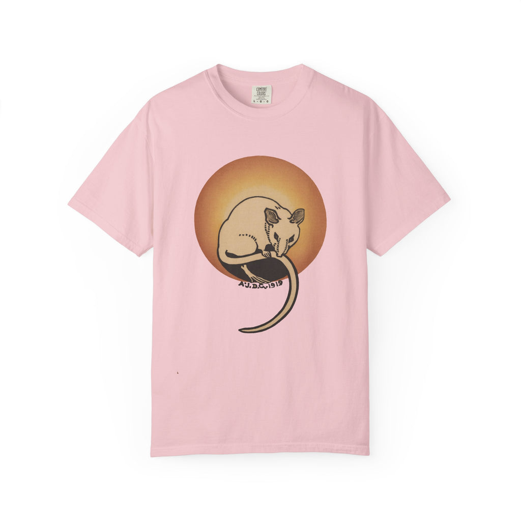 Sleeping Rat Graphic T-Shirt — Vintage Sunset Rodent Tee