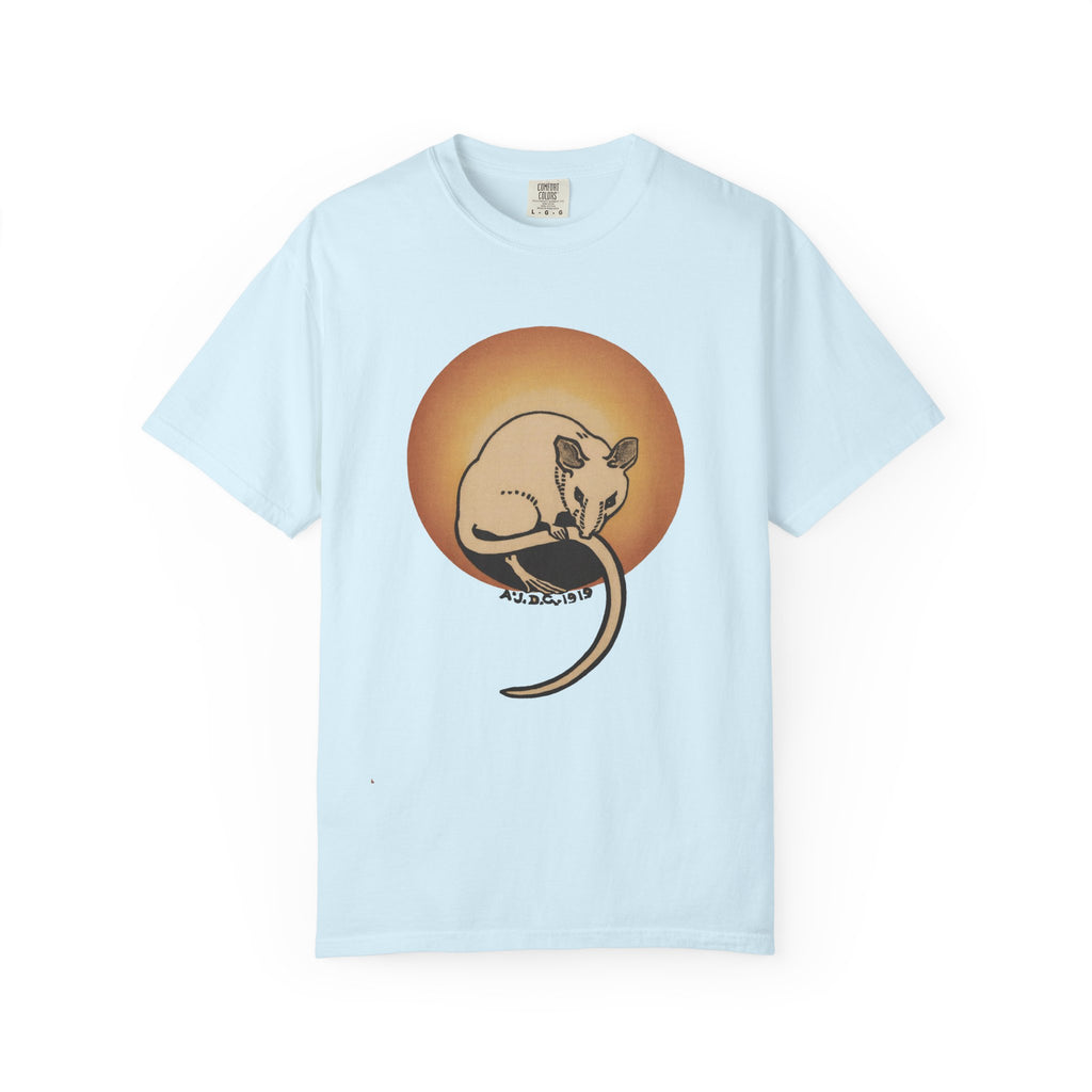 Sleeping Rat Graphic T-Shirt — Vintage Sunset Rodent Tee