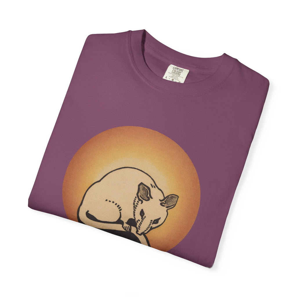 Sleeping Rat Graphic T-Shirt — Vintage Sunset Rodent Tee