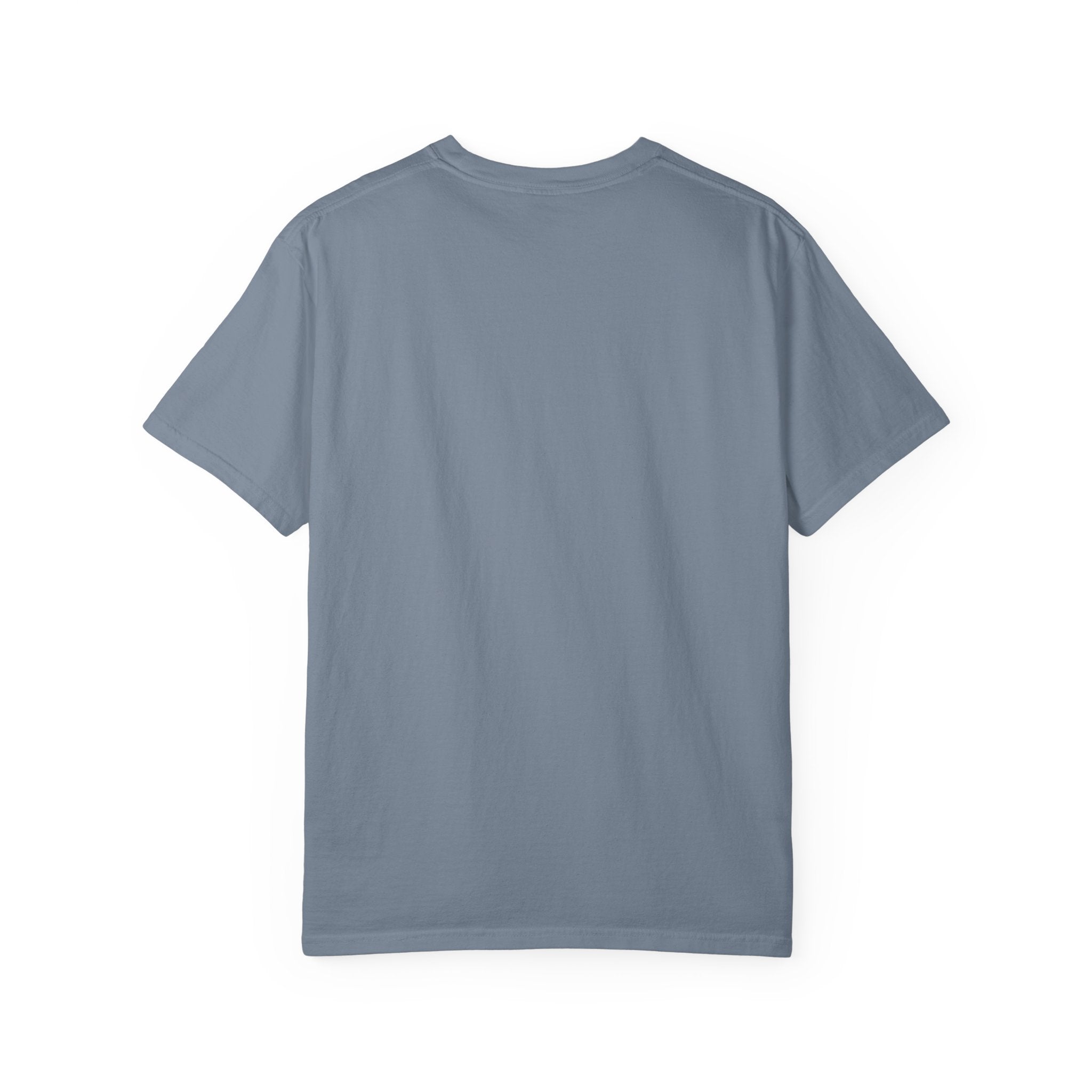 Sleeping Rat Graphic T-Shirt — Vintage Sunset Rodent Tee
