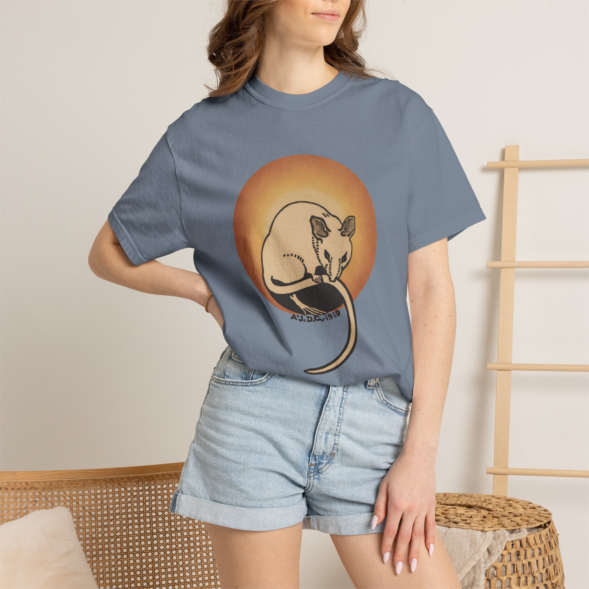 Sleeping Rat Graphic T-Shirt — Vintage Sunset Rodent Tee