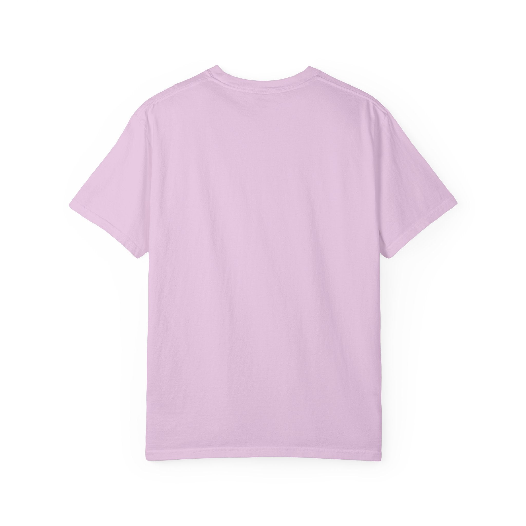 Sleeping Rat Graphic T-Shirt — Vintage Sunset Rodent Tee