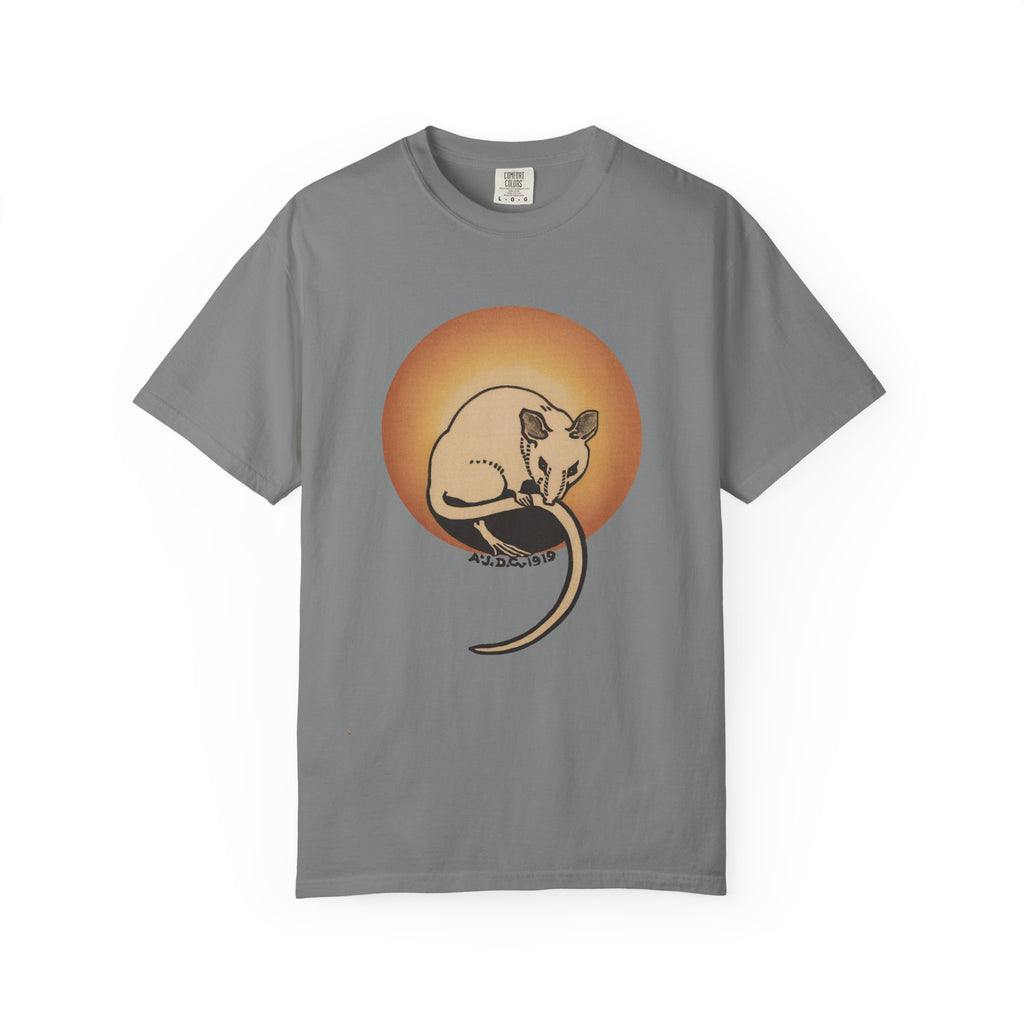 Sleeping Rat Graphic T-Shirt — Vintage Sunset Rodent Tee