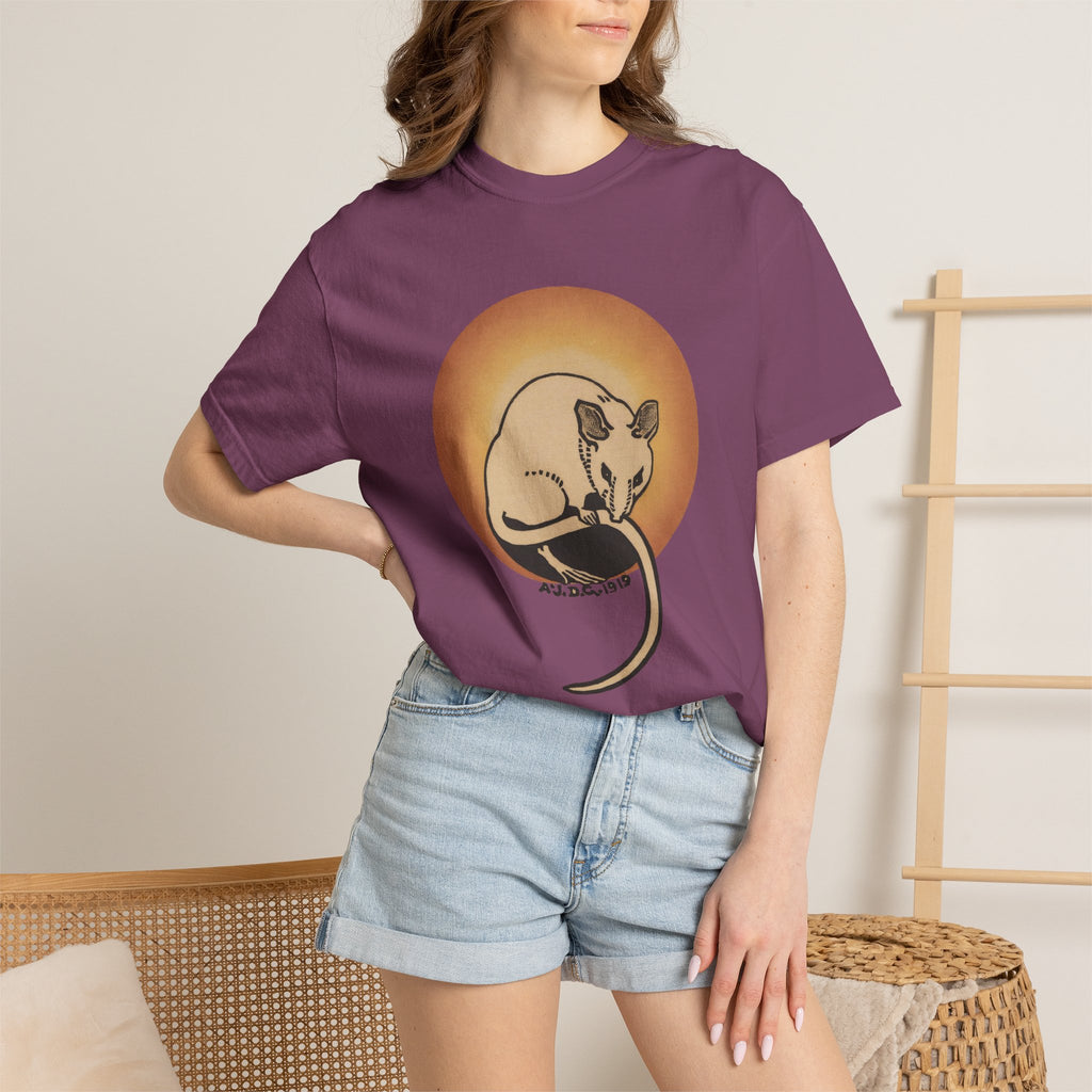 Sleeping Rat Graphic T-Shirt — Vintage Sunset Rodent Tee