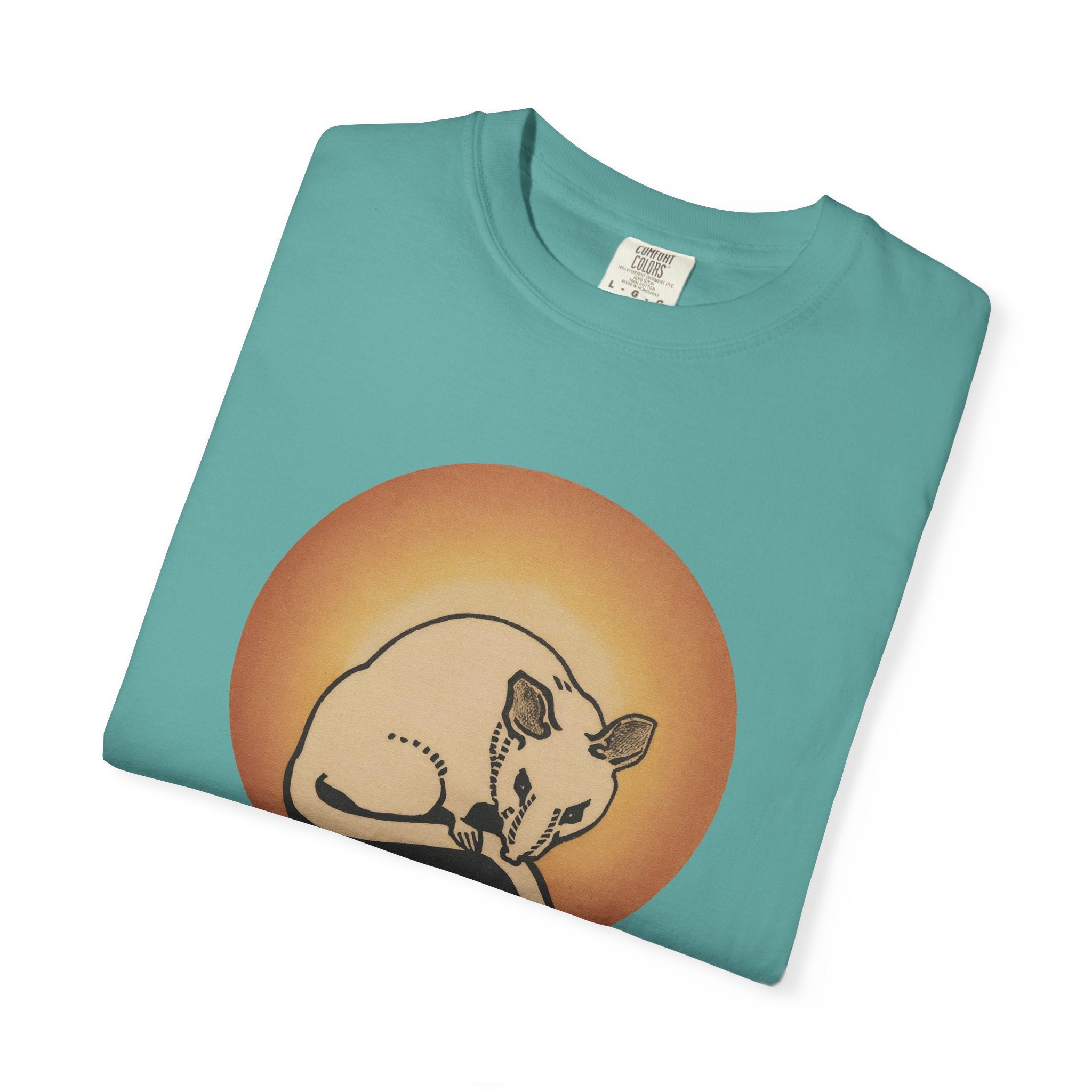 Sleeping Rat Graphic T-Shirt — Vintage Sunset Rodent Tee