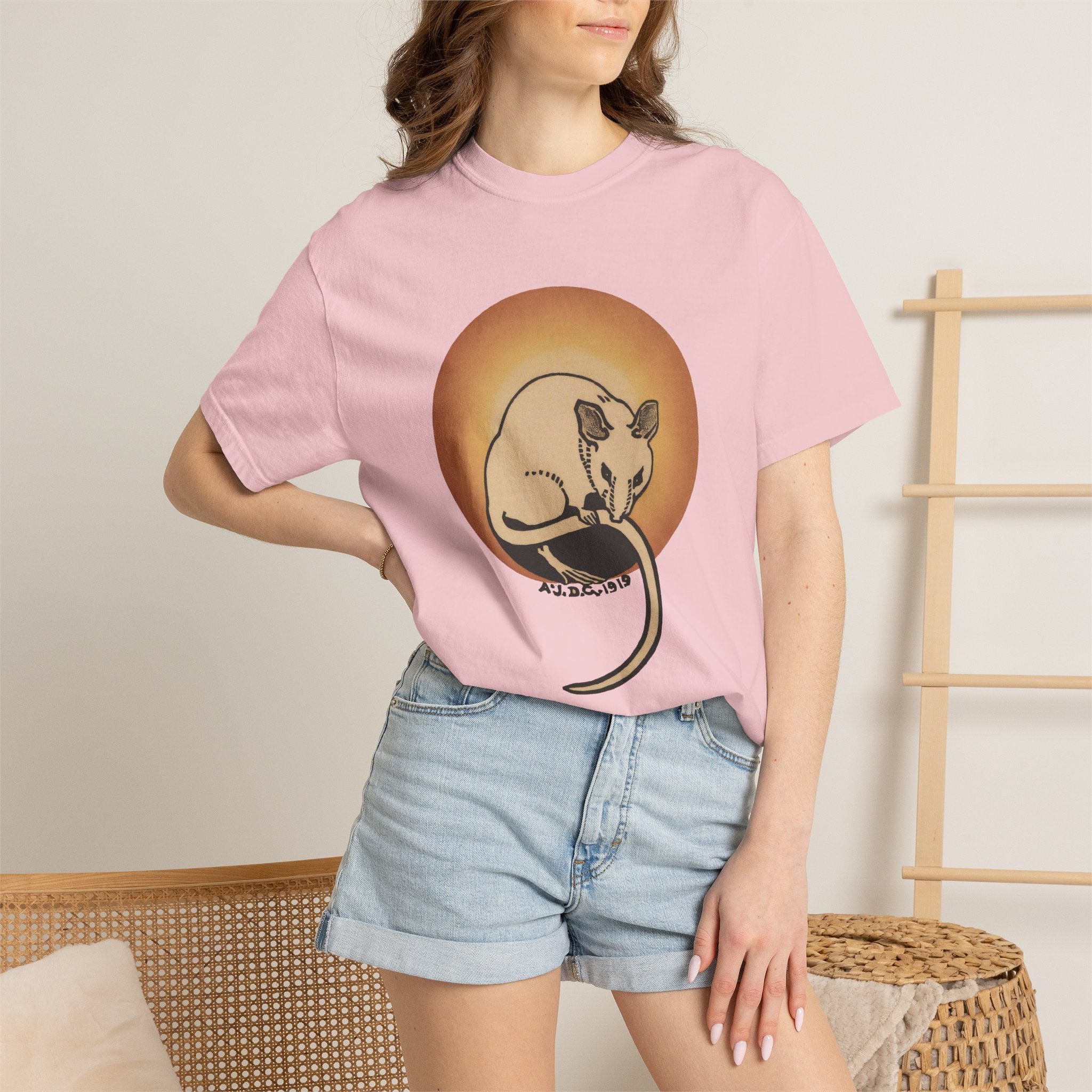 Sleeping Rat Graphic T-Shirt — Vintage Sunset Rodent Tee