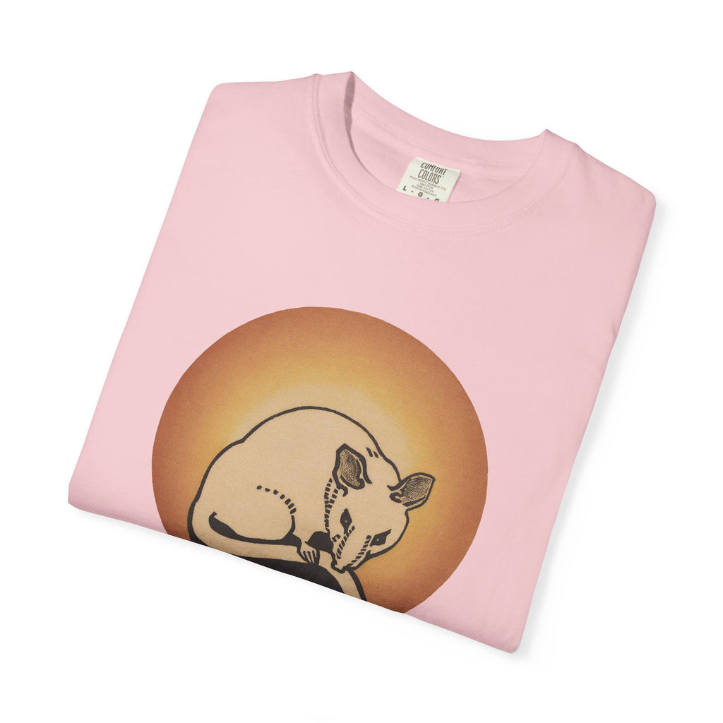 Sleeping Rat Graphic T-Shirt — Vintage Sunset Rodent Tee