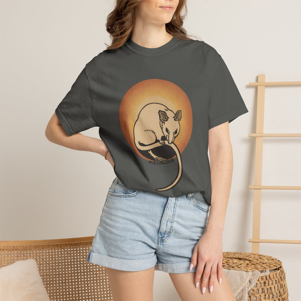 Sleeping Rat Graphic T-Shirt — Vintage Sunset Rodent Tee