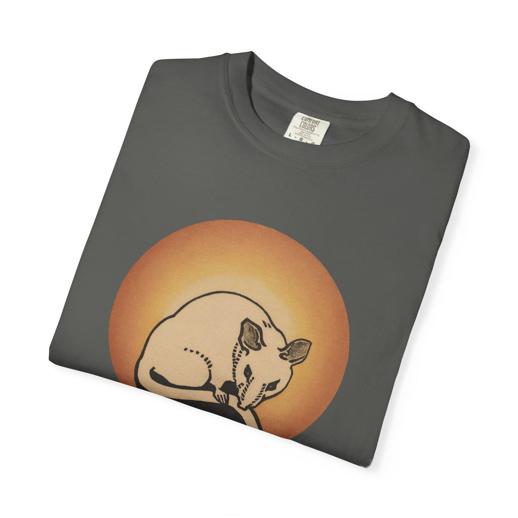 Sleeping Rat Graphic T-Shirt — Vintage Sunset Rodent Tee