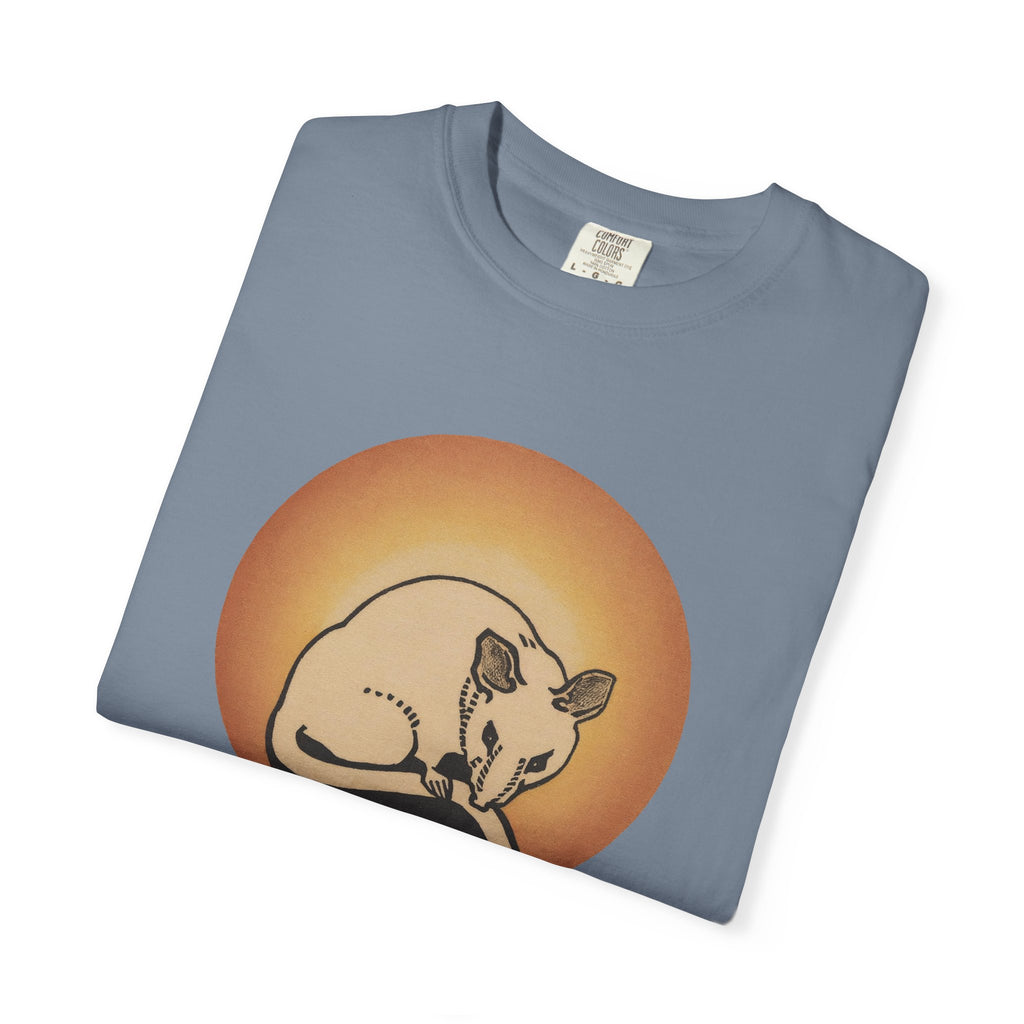 Sleeping Rat Graphic T-Shirt — Vintage Sunset Rodent Tee
