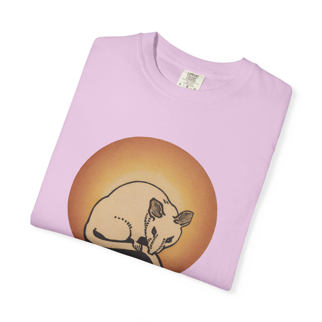 Sleeping Rat Graphic T-Shirt — Vintage Sunset Rodent Tee