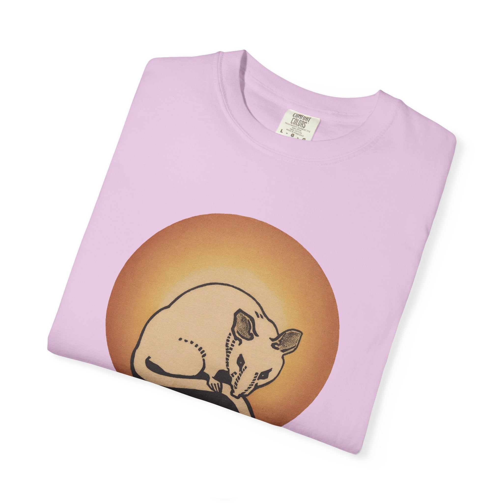 Sleeping Rat Graphic T-Shirt — Vintage Sunset Rodent Tee