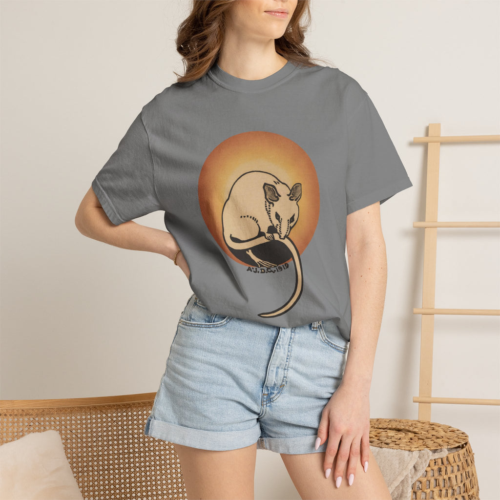 Sleeping Rat Graphic T-Shirt — Vintage Sunset Rodent Tee
