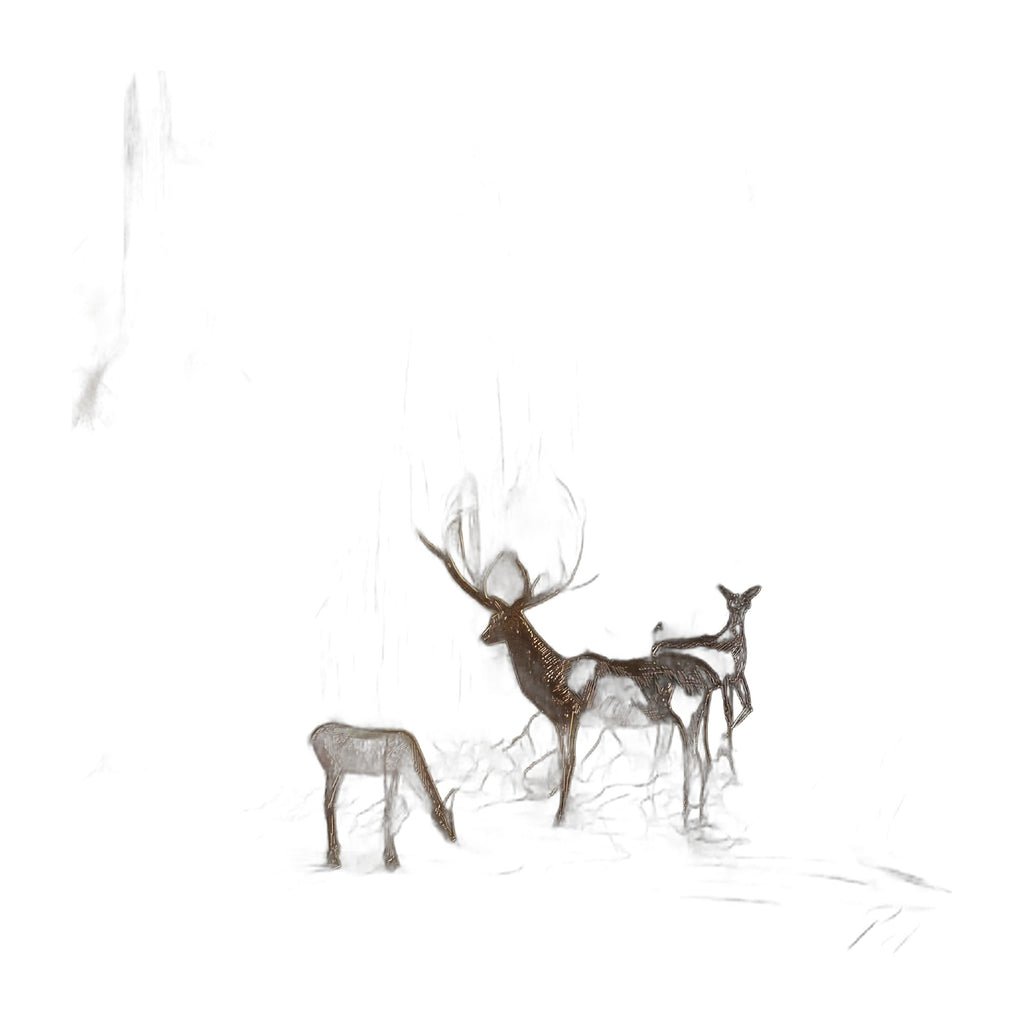 Highline West White-Tailed DEER Plaque Etched Brass Bijan
