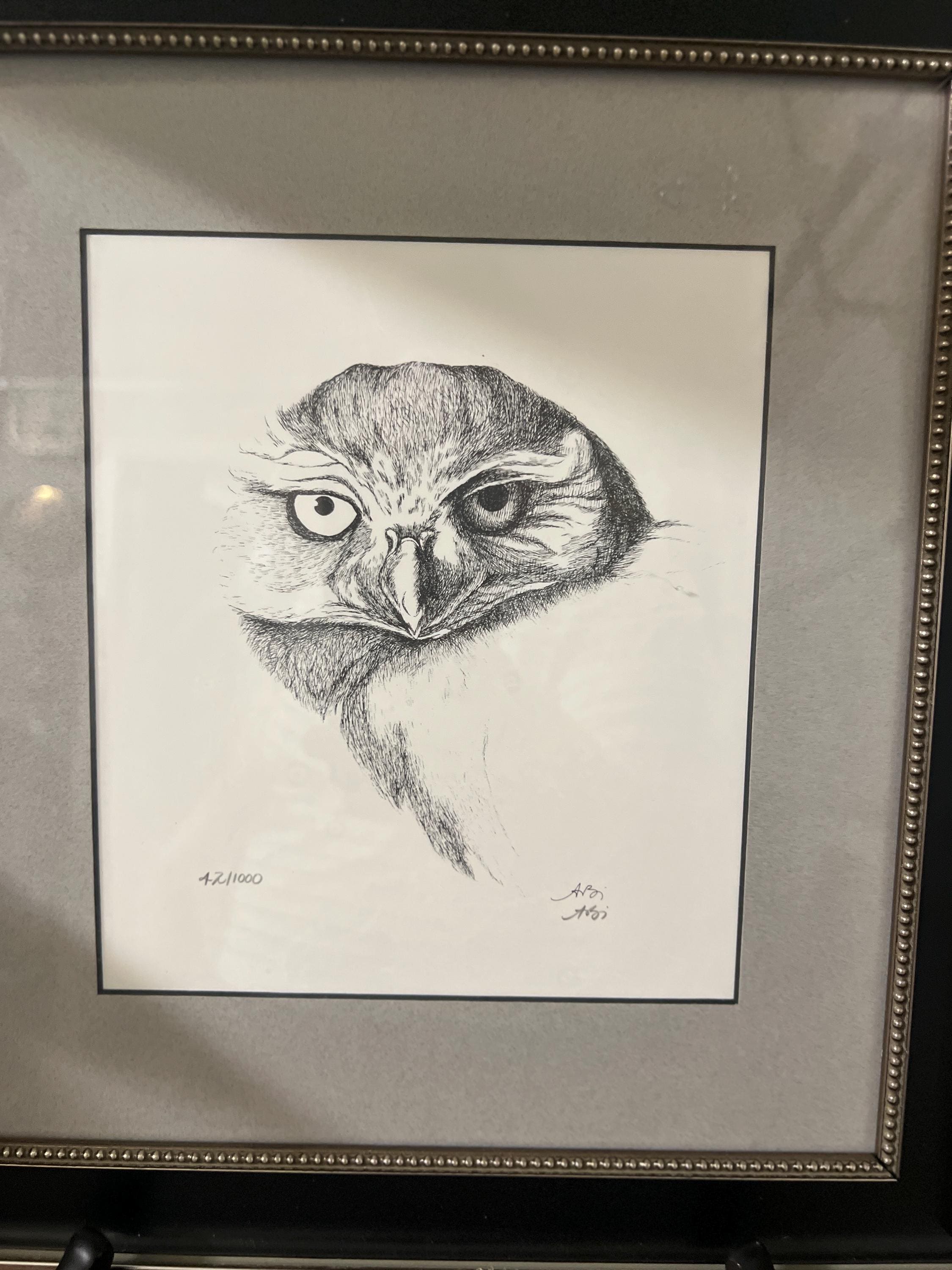 Owl Pen & Ink Art Signed by Ari Matted 12x11