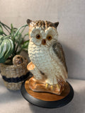 Large Owl Hand Painted Chalkware Figurine