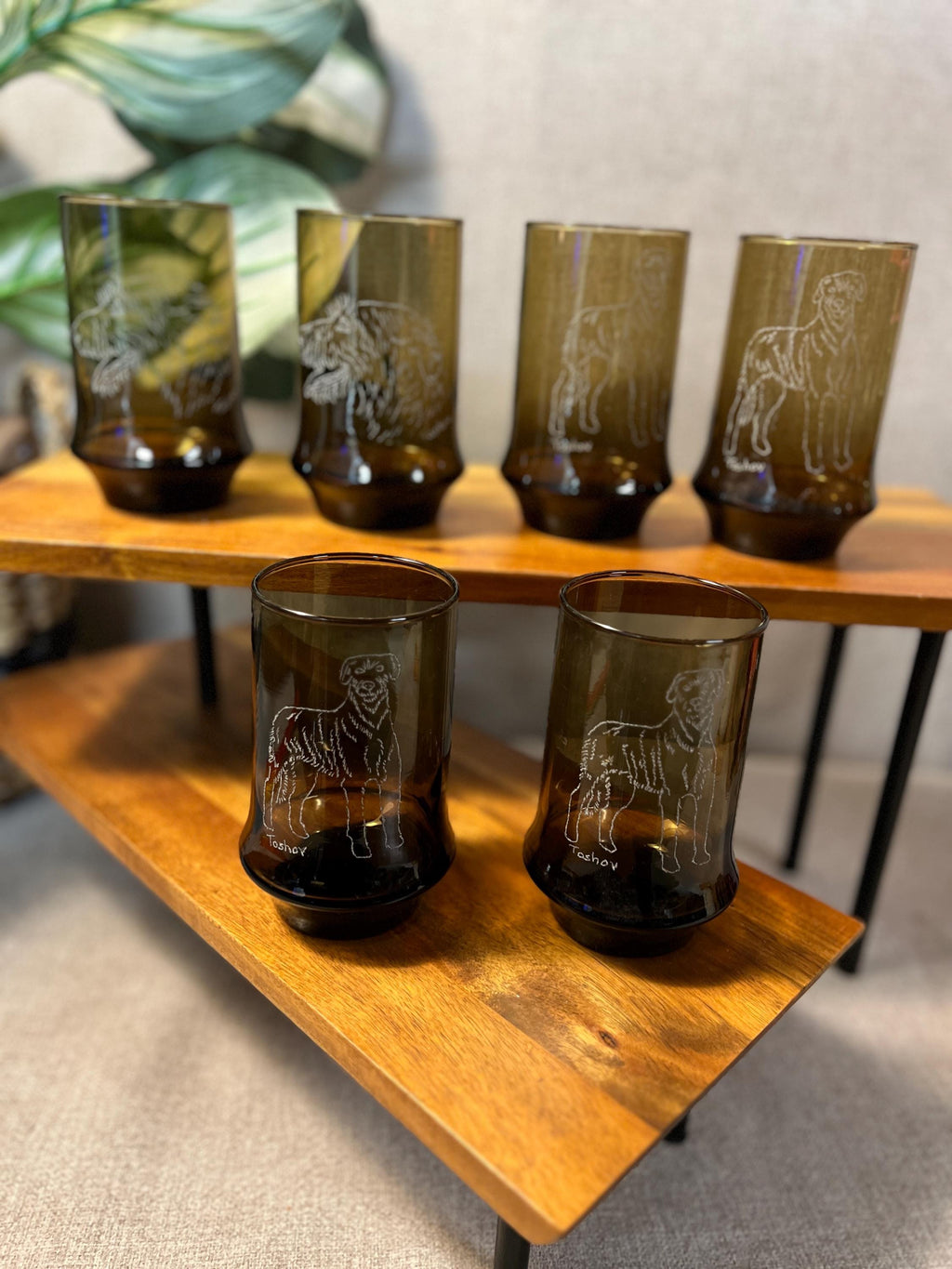 Smoke Brown VTG Libby Glasses With Etched Wolf Hound on all
