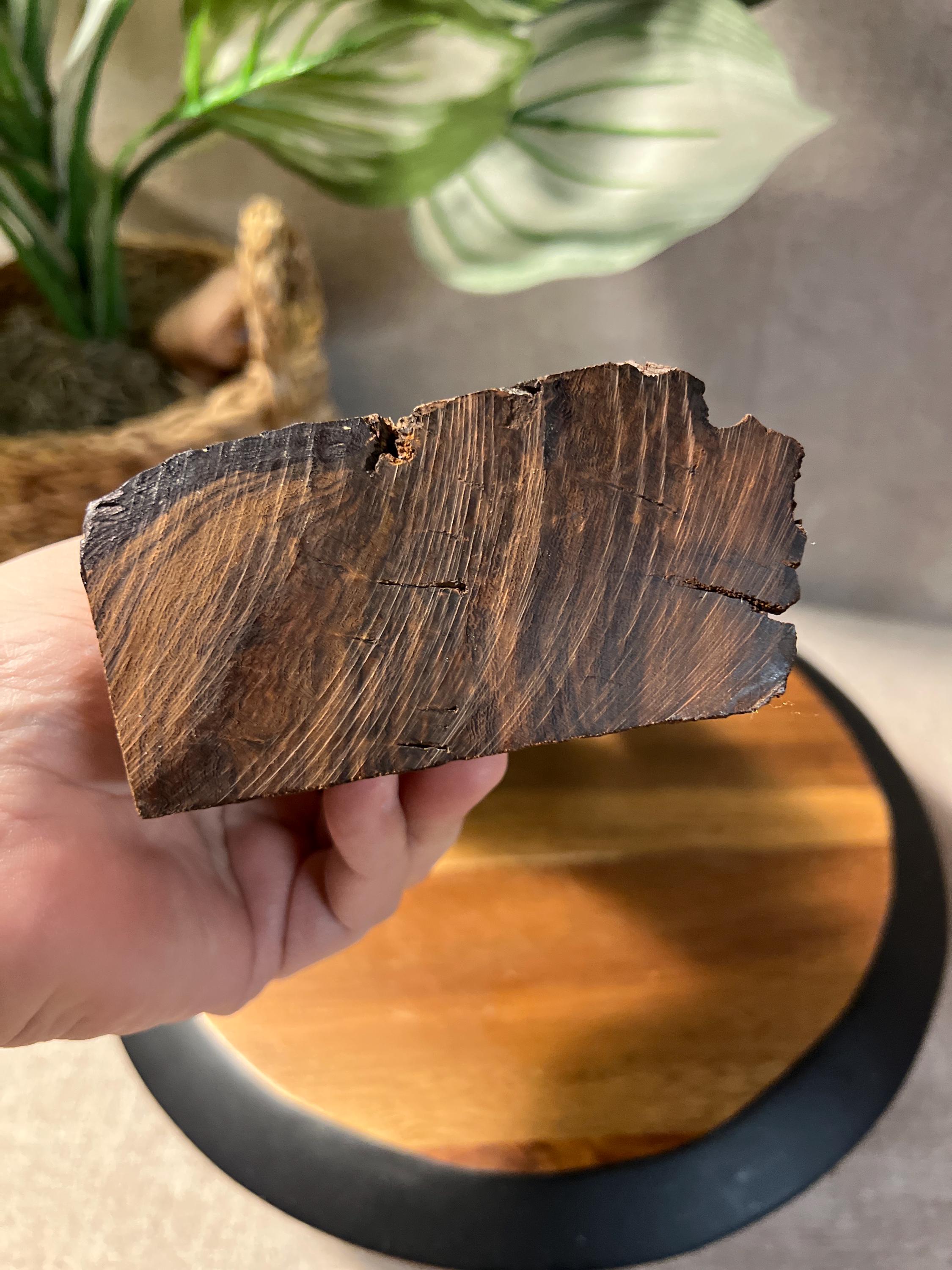 Hand Carved Ironwood Southwestern Saguaro Cactus Statue Figurine