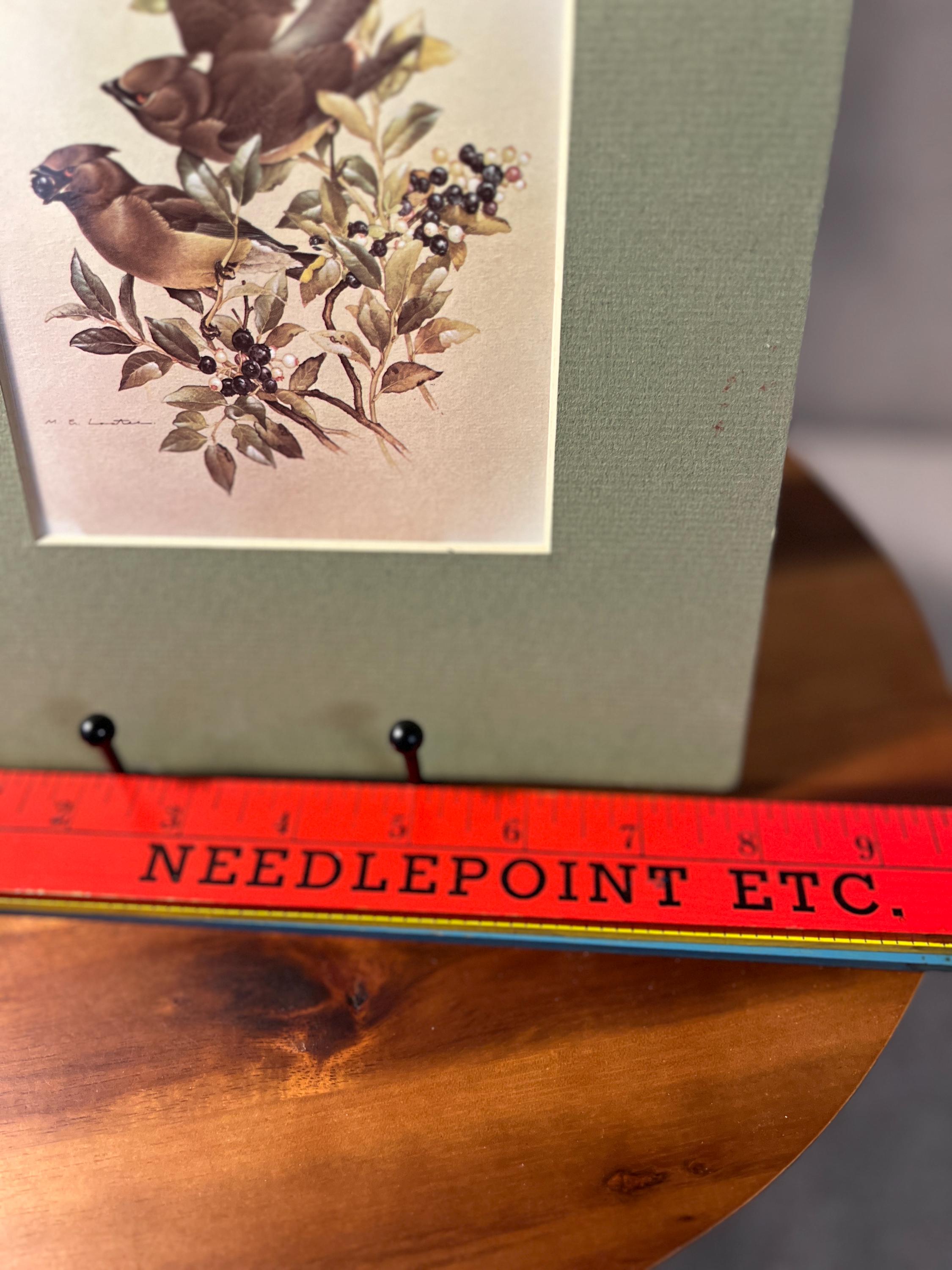 Vintage Cedar Waxwings Bird Matted Print