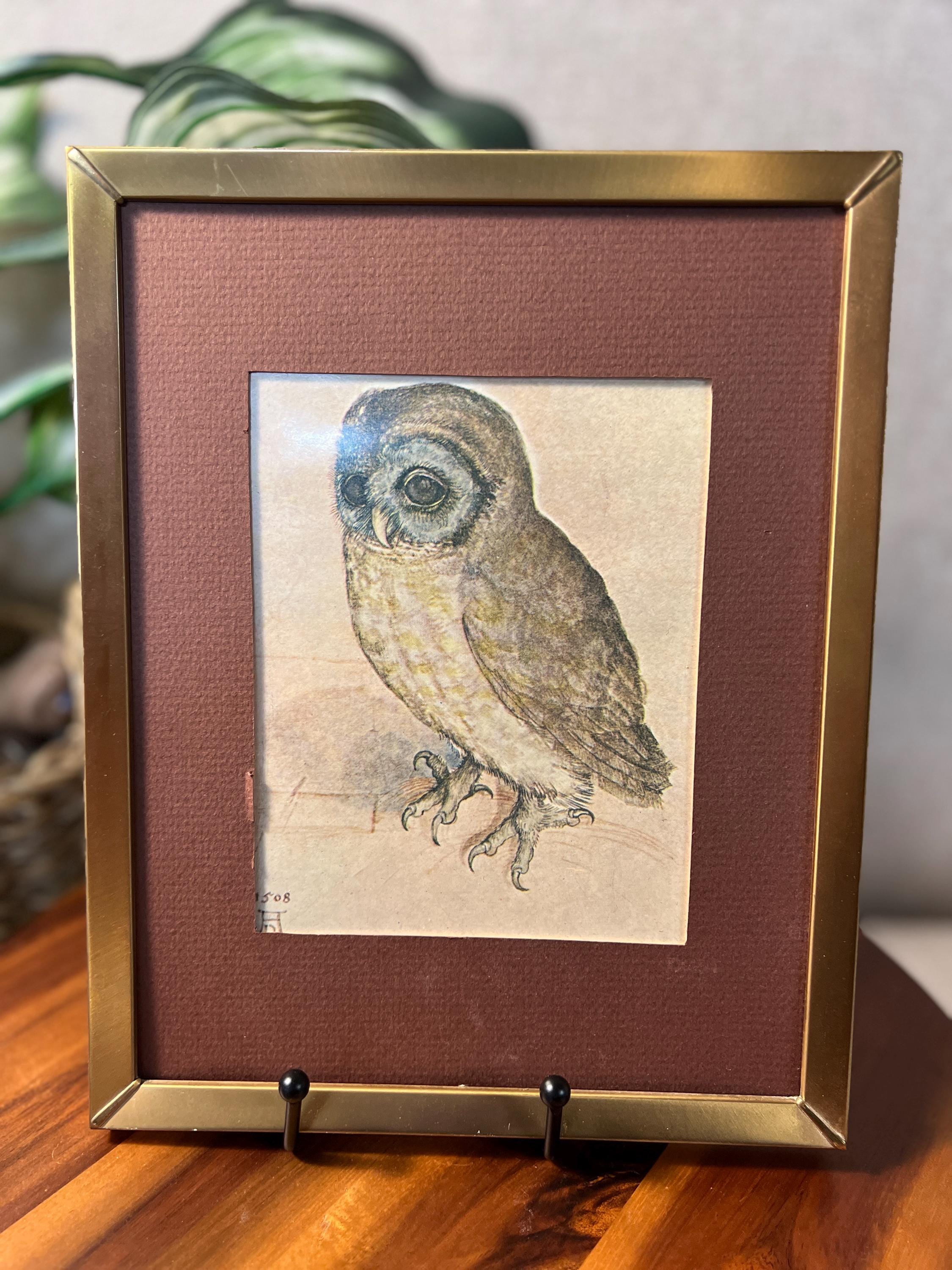 Vintage "The Little Owl" Framed Print 8x10" ALBRECHT DURER  No. 1508 Ornate