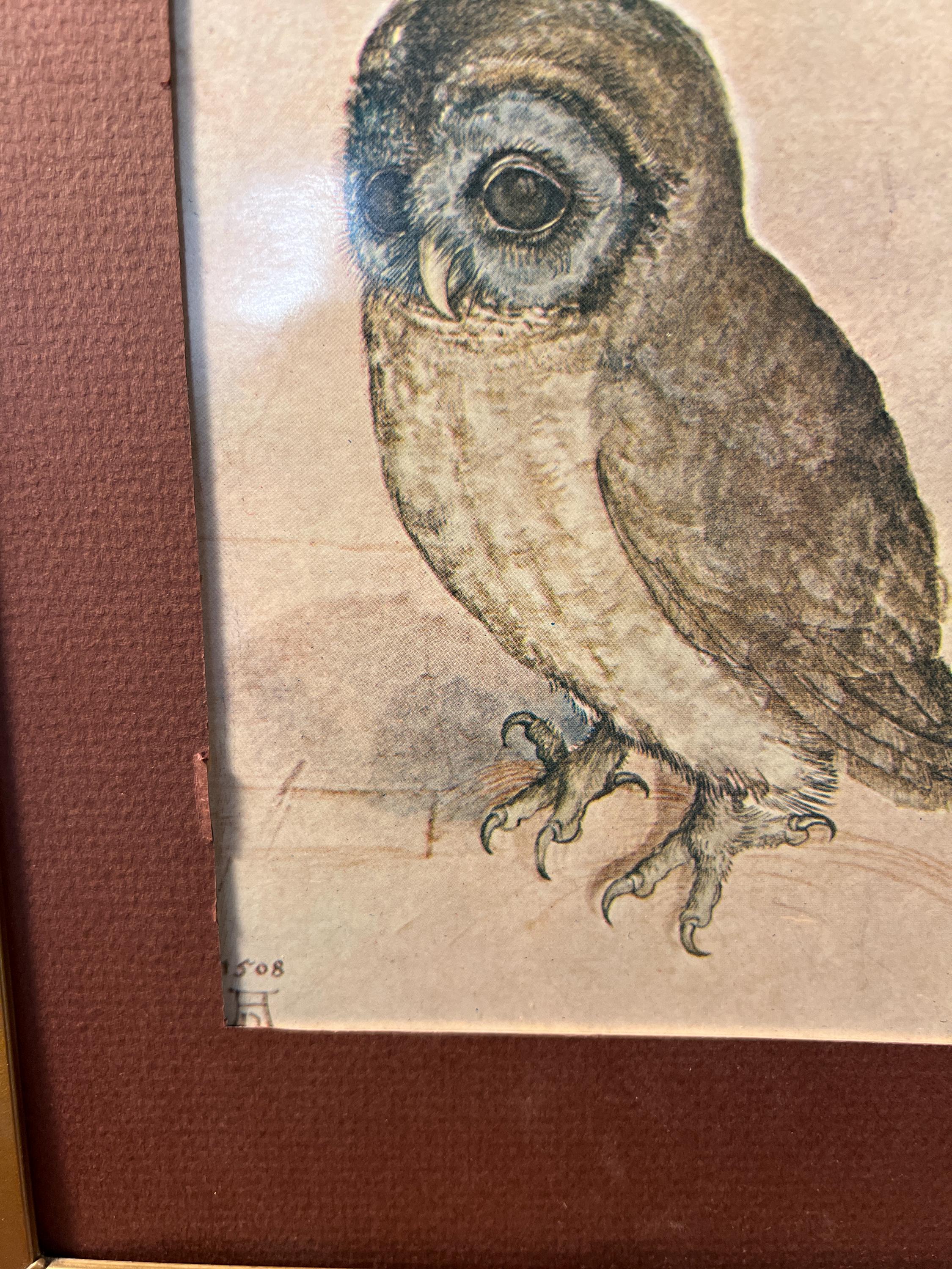 Vintage "The Little Owl" Framed Print 8x10" ALBRECHT DURER  No. 1508 Ornate