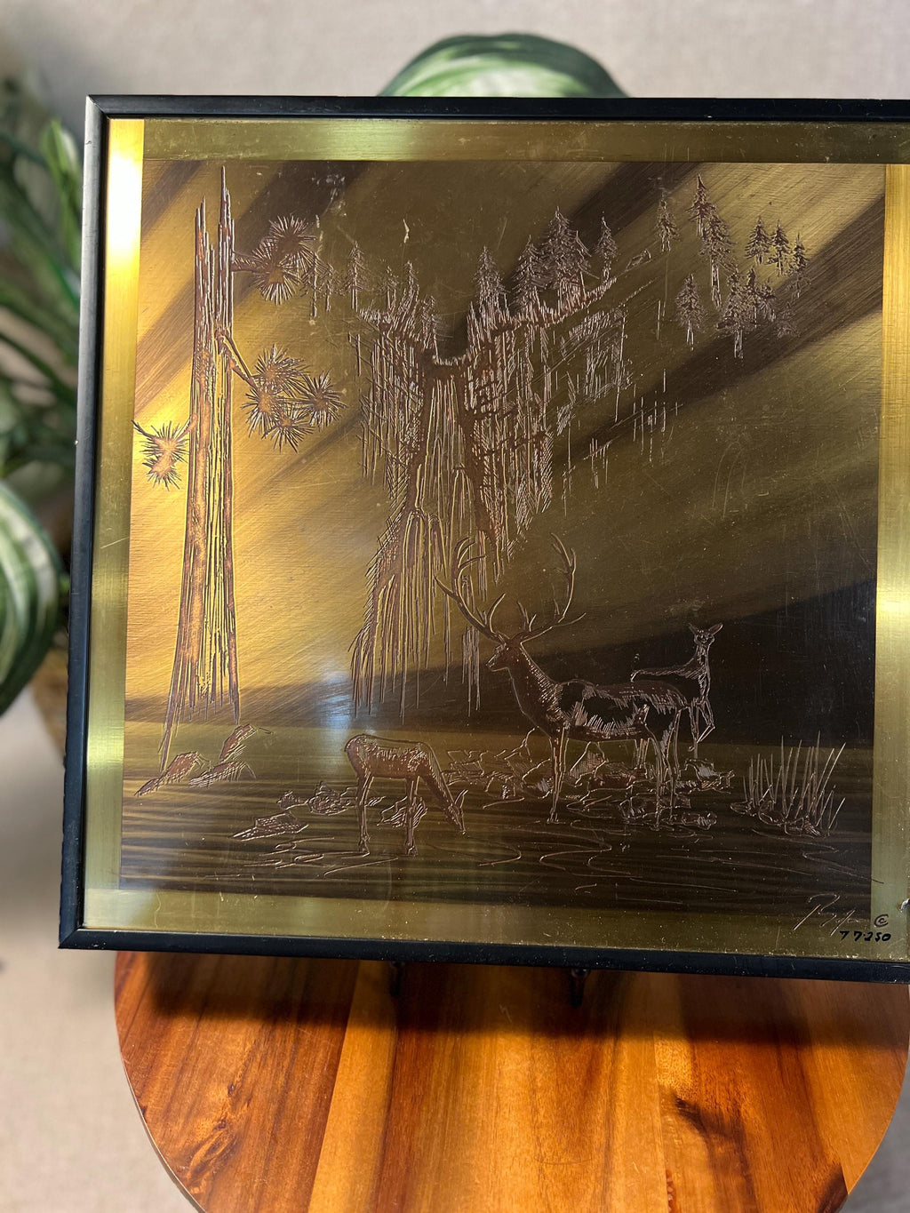 Highline West White-Tailed DEER Plaque Etched Brass Bijan