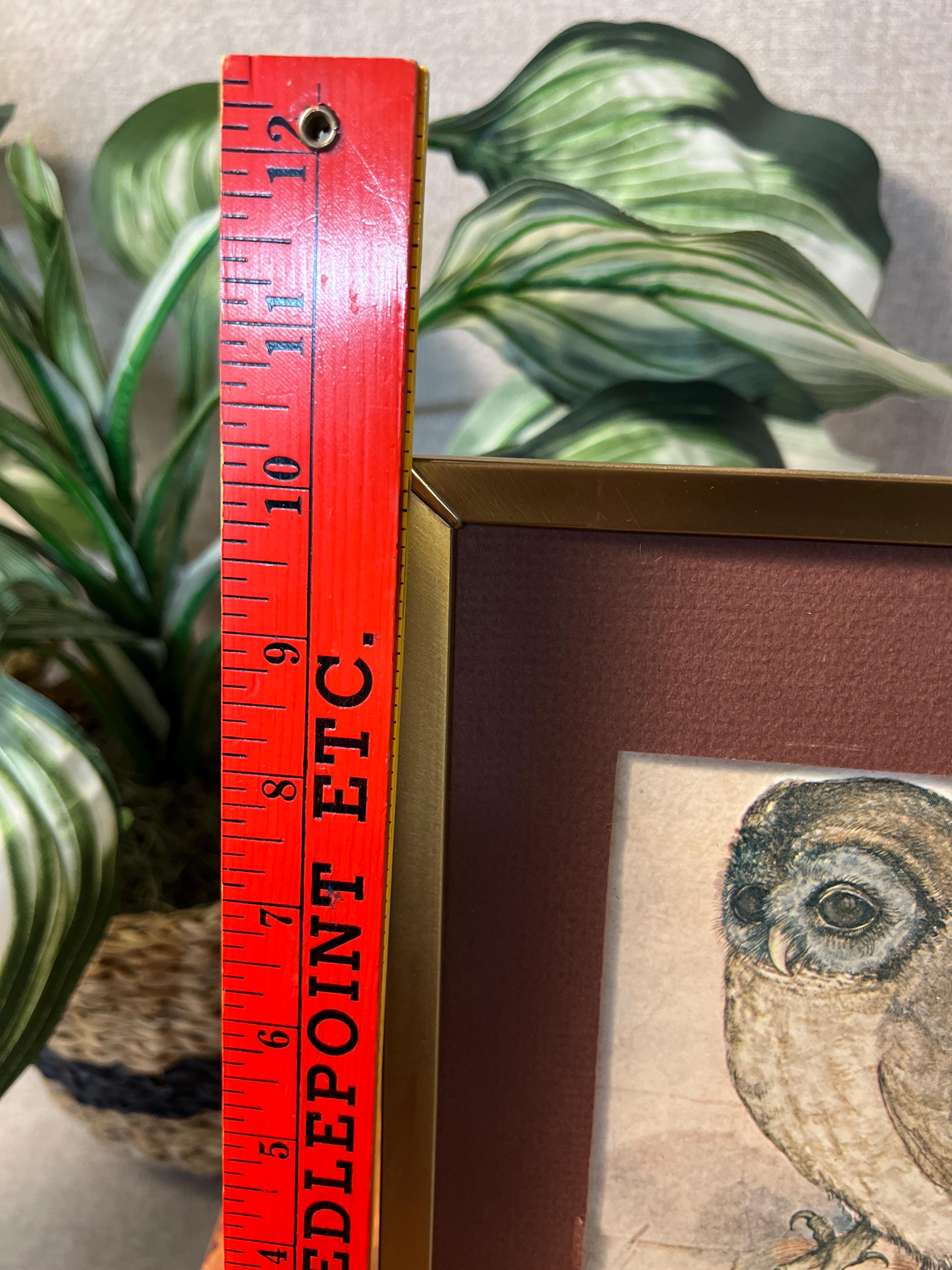 Vintage "The Little Owl" Framed Print 8x10" ALBRECHT DURER  No. 1508 Ornate