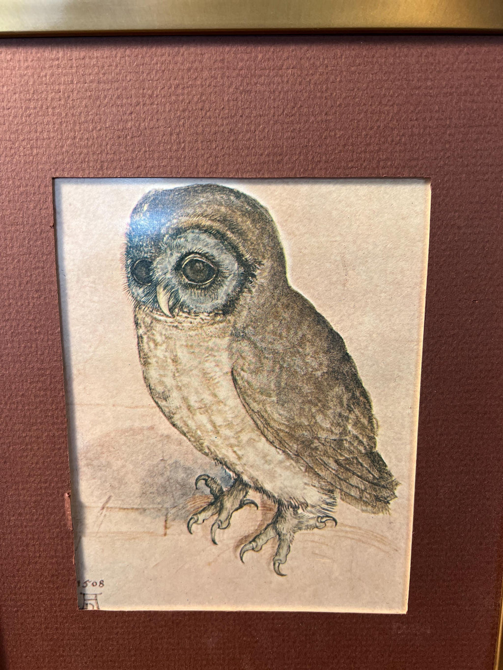 Vintage "The Little Owl" Framed Print 8x10" ALBRECHT DURER  No. 1508 Ornate