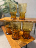 Libbey Country Garden Amber  Glasses set of 5 (2 Large and 3 iced tea sized)