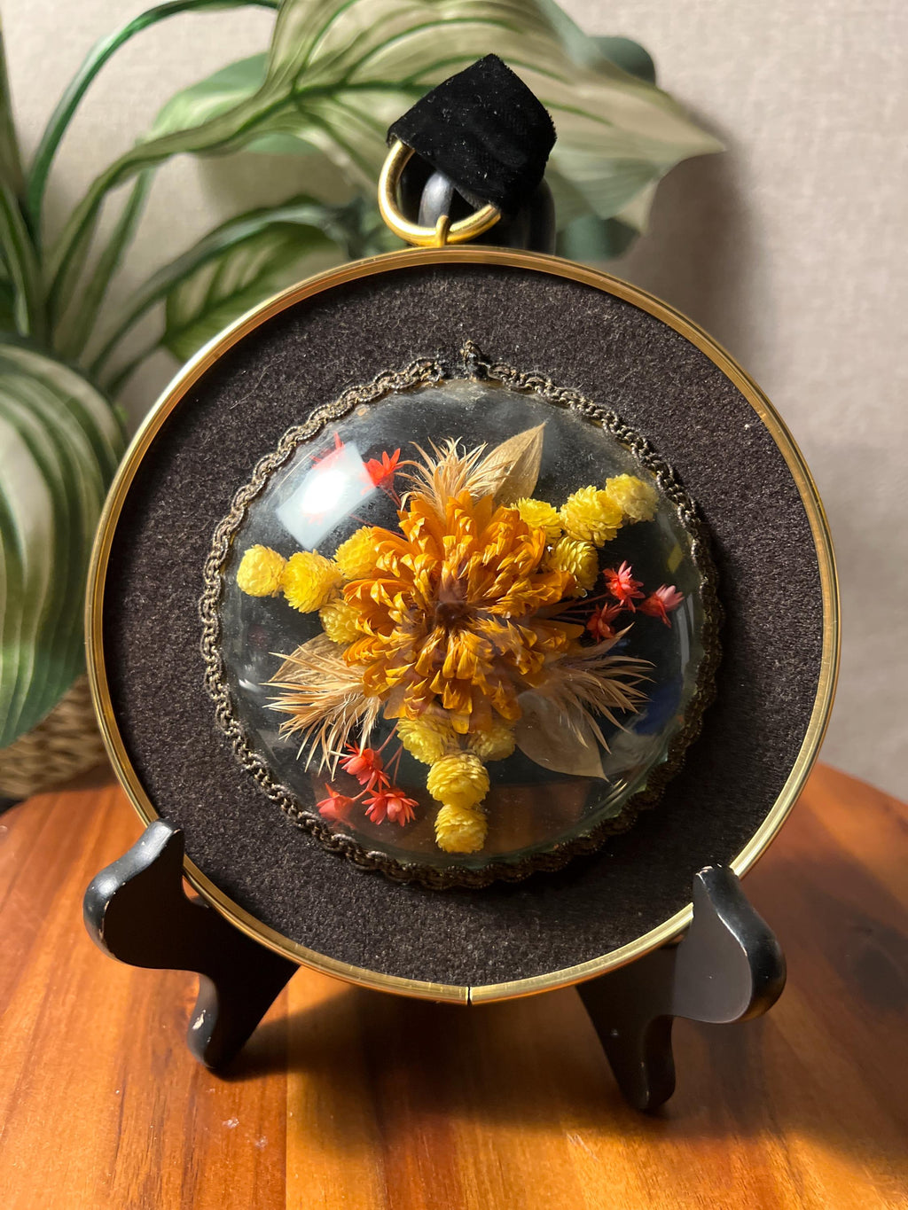 Dried Flowers Bouquet In Curved Glass Framed Wall Art Vintage Ribbon Hanger