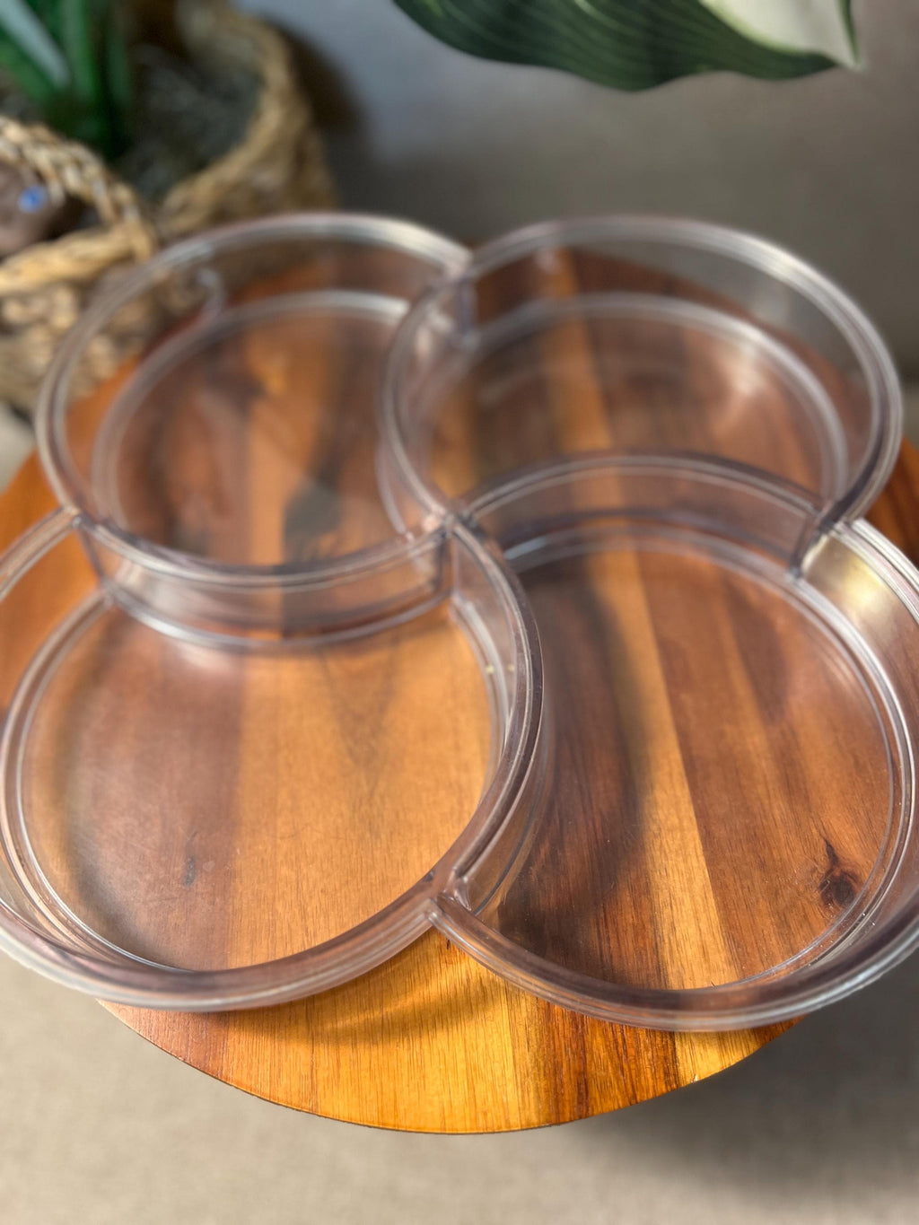 Vtg 70s MOD Dansk Clear Plastic Melamine Compartment Serving Tray Gunner Cyren