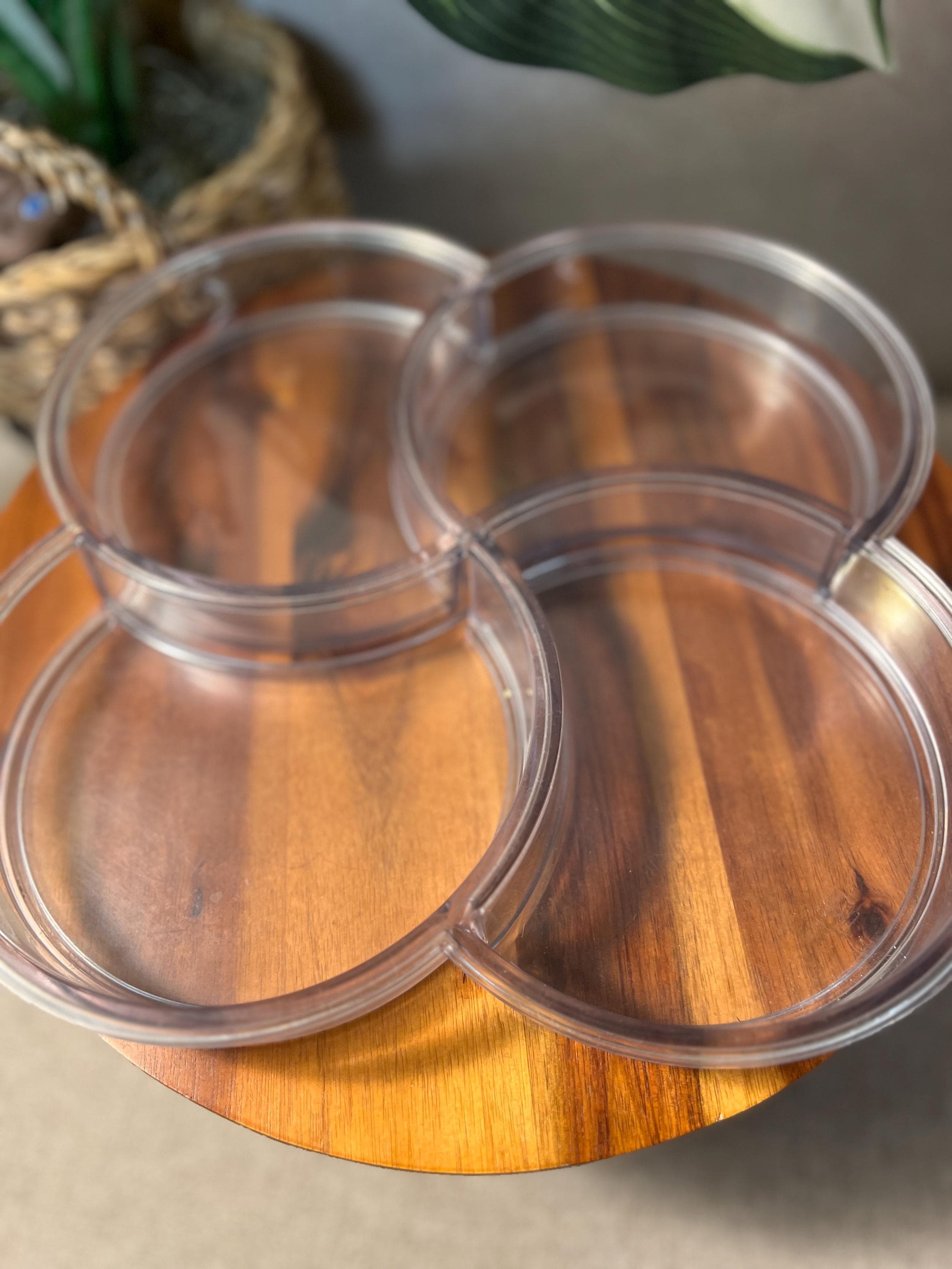 Vtg 70s MOD Dansk Clear Plastic Melamine Compartment Serving Tray Gunner Cyren