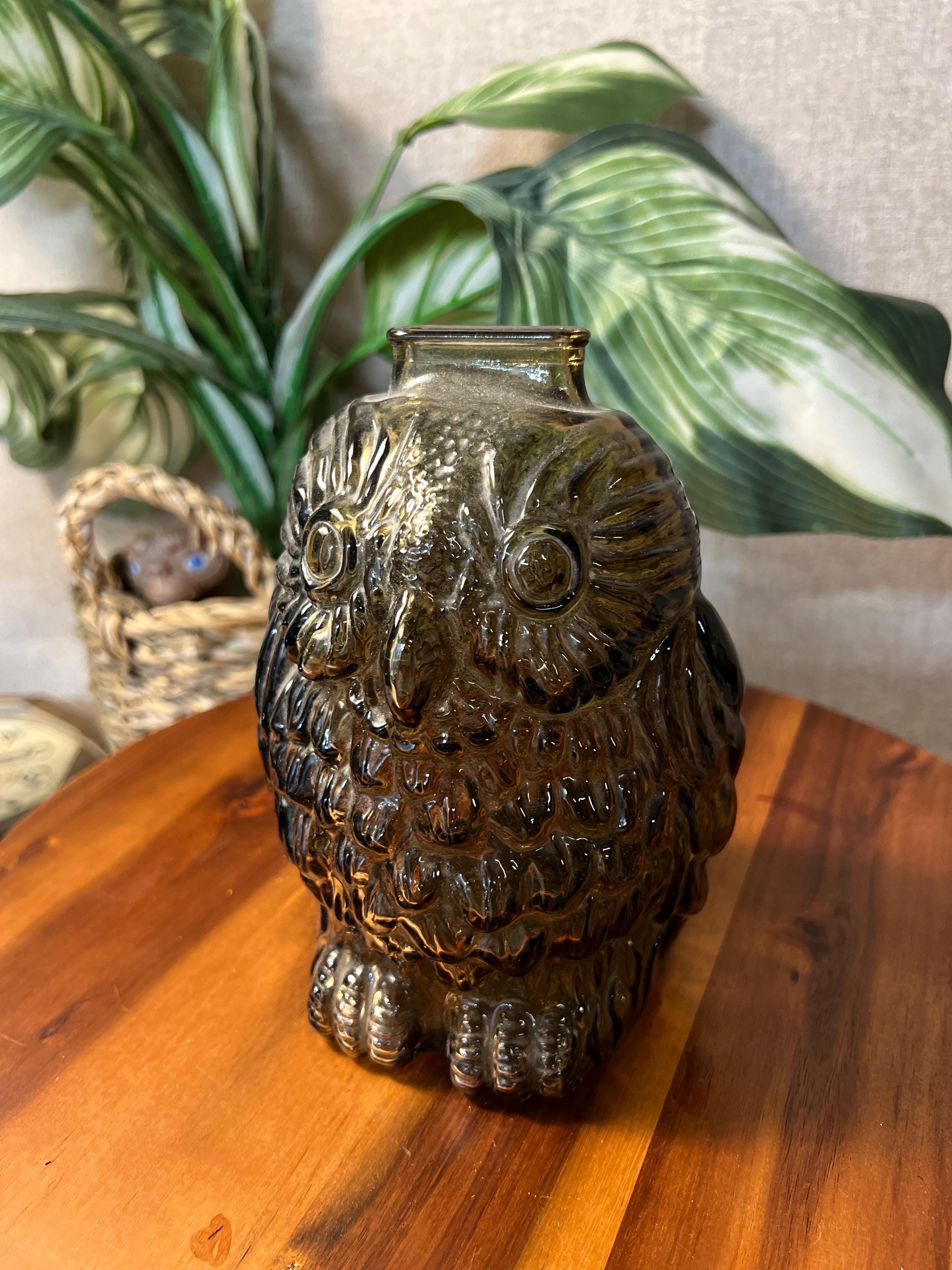 Vintage 1970s Wise Old Owl Coin Bank Brown Glass  made by Libbey