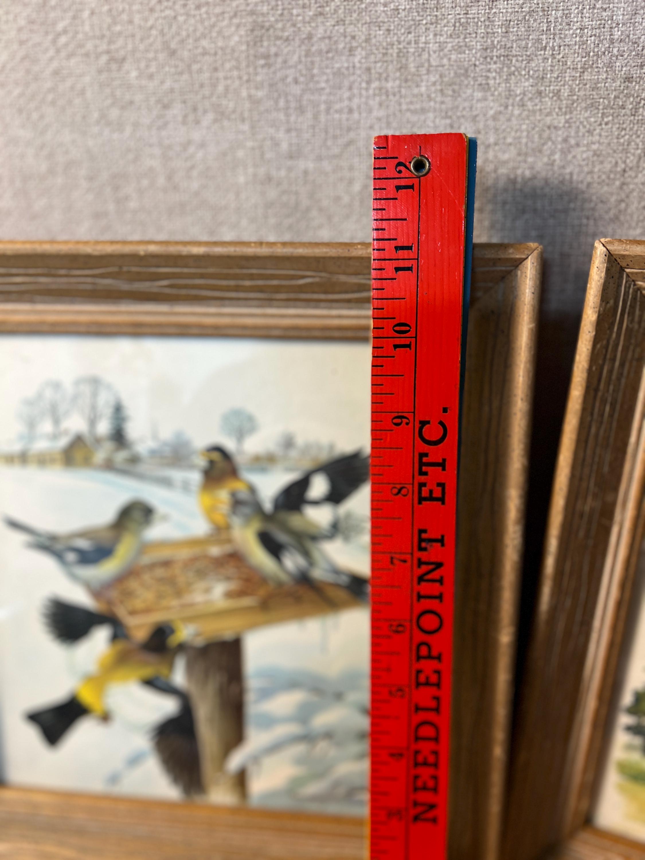Vintage Wooden  Professionally Framed Botanical Bird Prints Wall Art set of 2