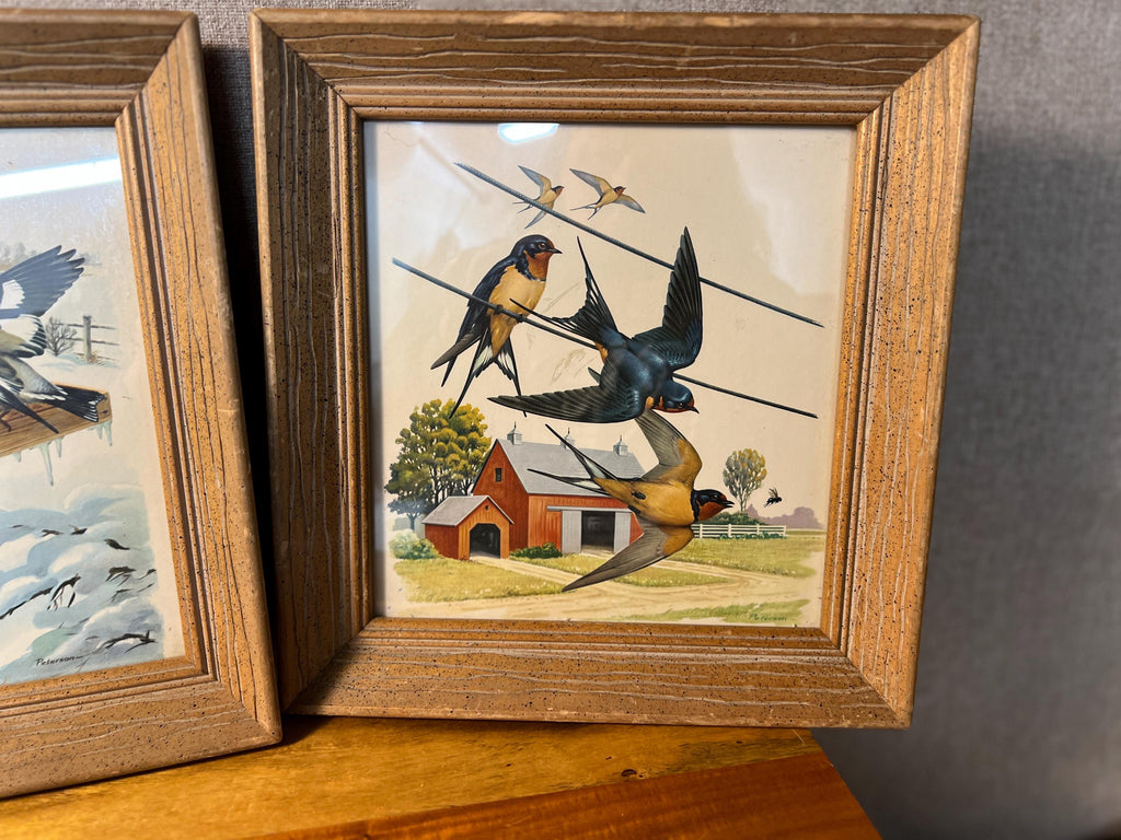 Vintage Wooden  Professionally Framed Botanical Bird Prints Wall Art set of 2