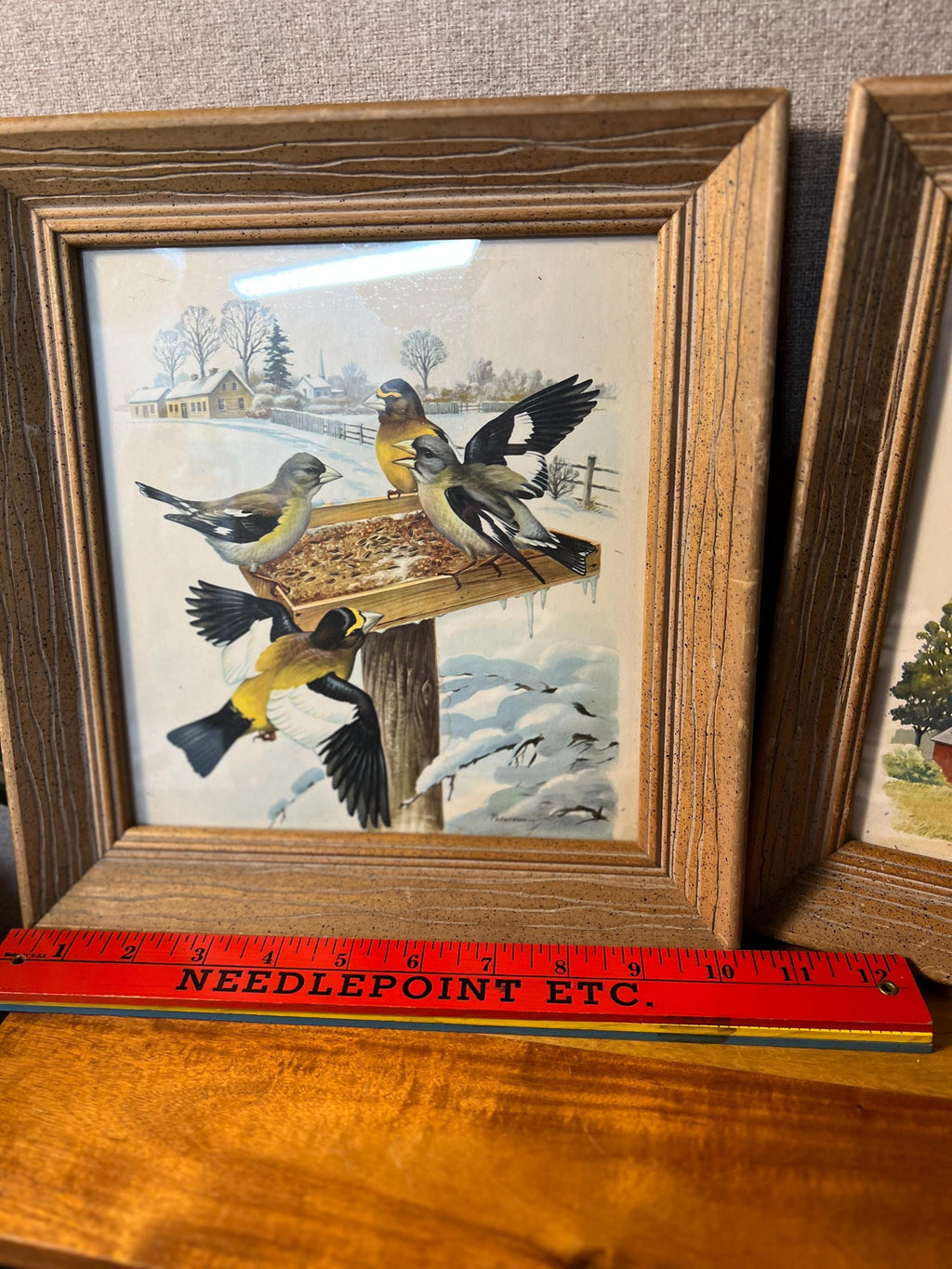 Vintage Wooden  Professionally Framed Botanical Bird Prints Wall Art set of 2