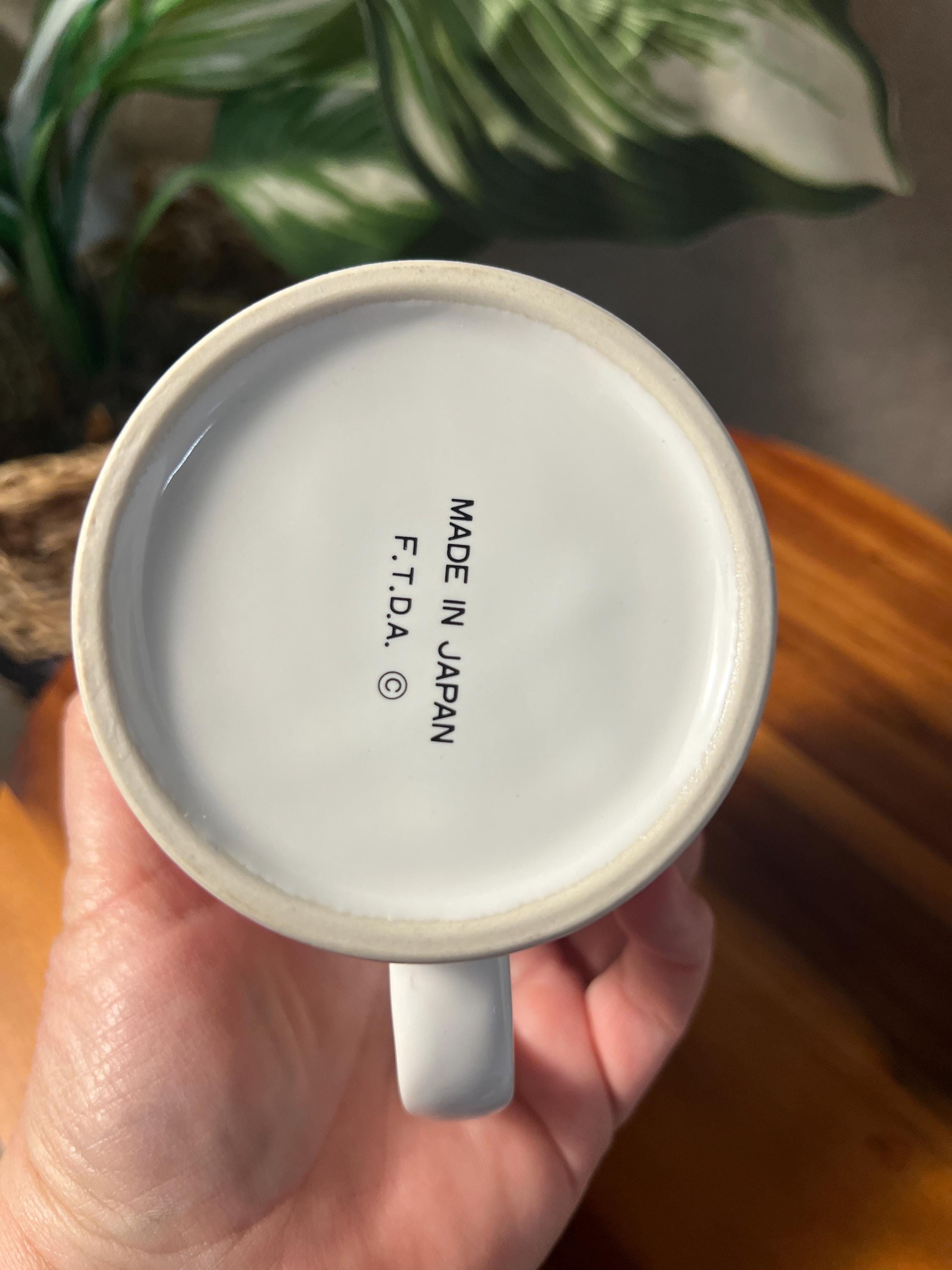 Vintage F.T.D.A Rainbow Mug Cup, Vintage Coffee Cup Mug made in Japan