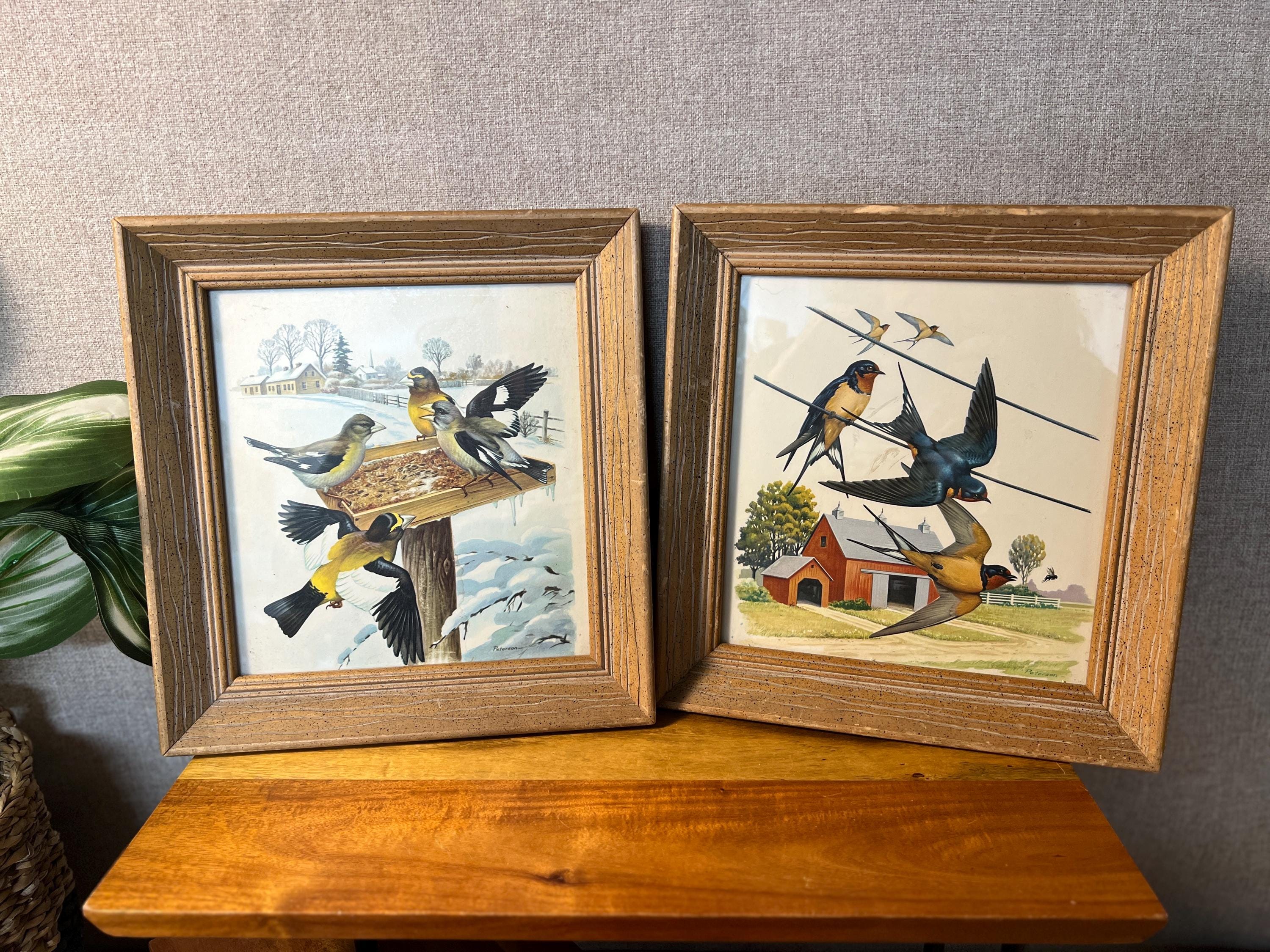 Vintage Wooden  Professionally Framed Botanical Bird Prints Wall Art set of 2