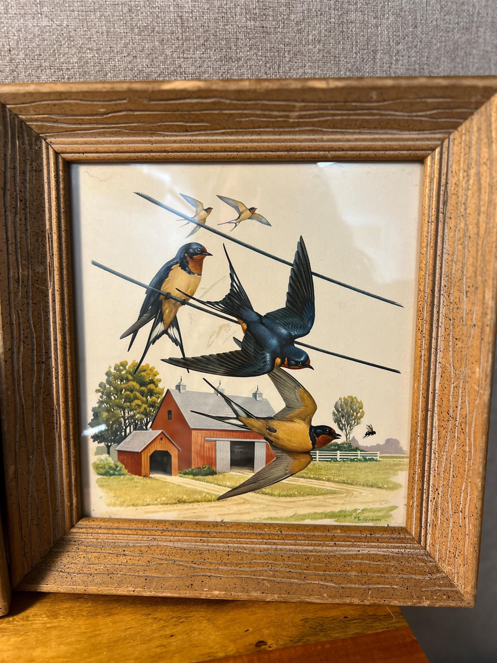 Vintage Wooden  Professionally Framed Botanical Bird Prints Wall Art set of 2