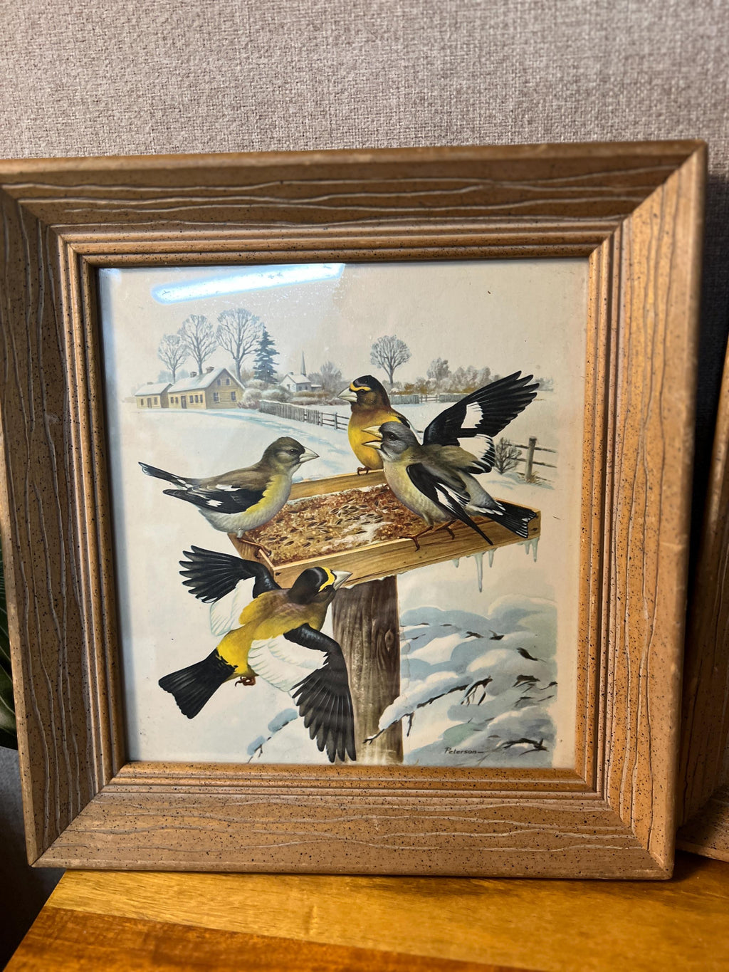 Vintage Wooden  Professionally Framed Botanical Bird Prints Wall Art set of 2