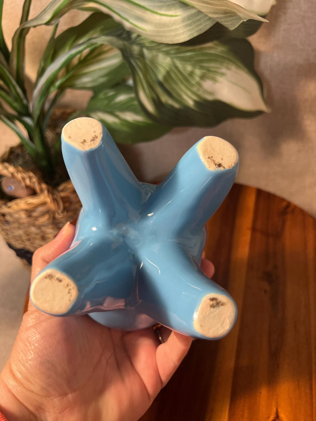 Tooth Planter Pen Holder Molar Ceramic Oddity Figural Dentist Hygienist