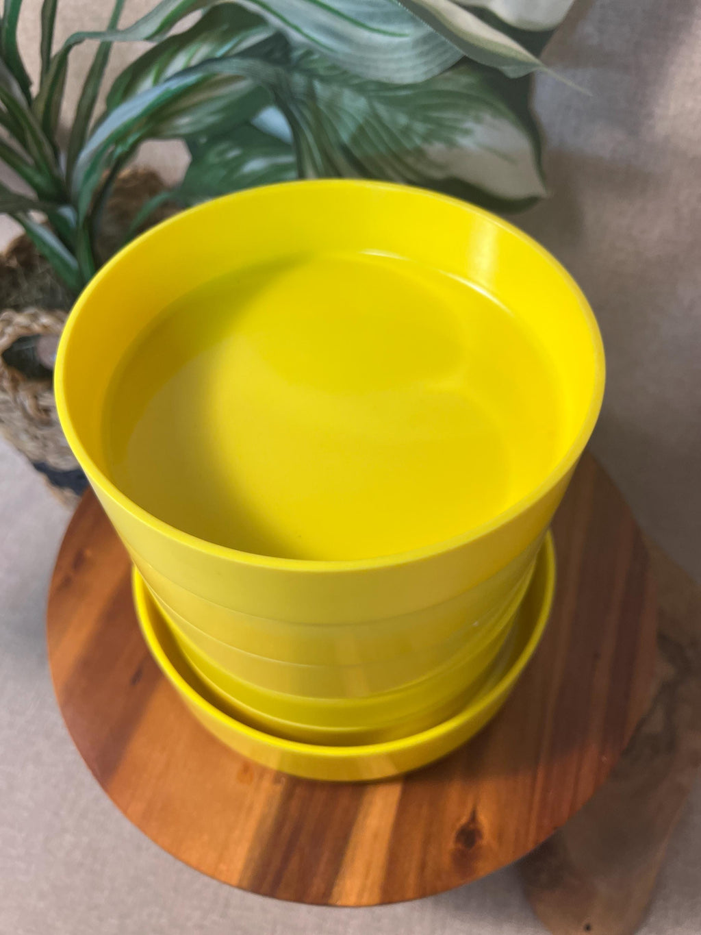 Set of 6 Vintage Oblique Bowls 1970s Melamine MCM Yellow 7-in Stackable, Made in USA
