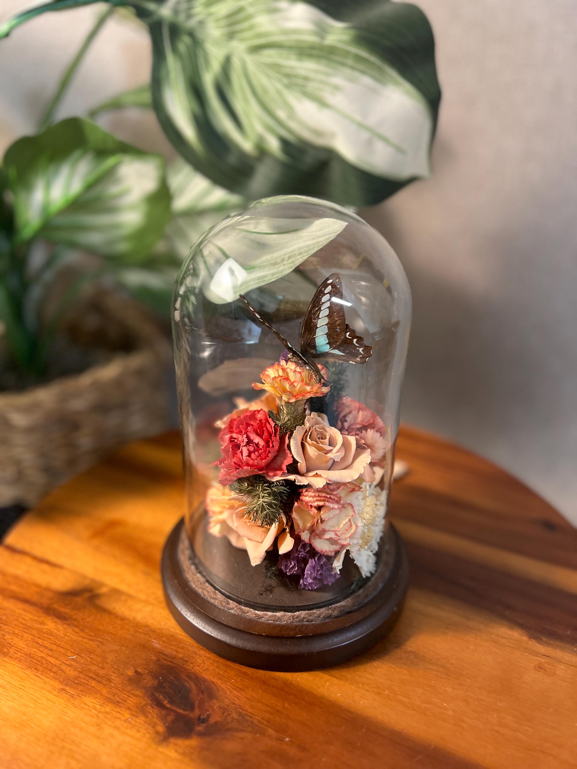 Small Vtg 1970's Taxidermy Butterfly Dried Flowers Glass Dome Cloche Wood Base