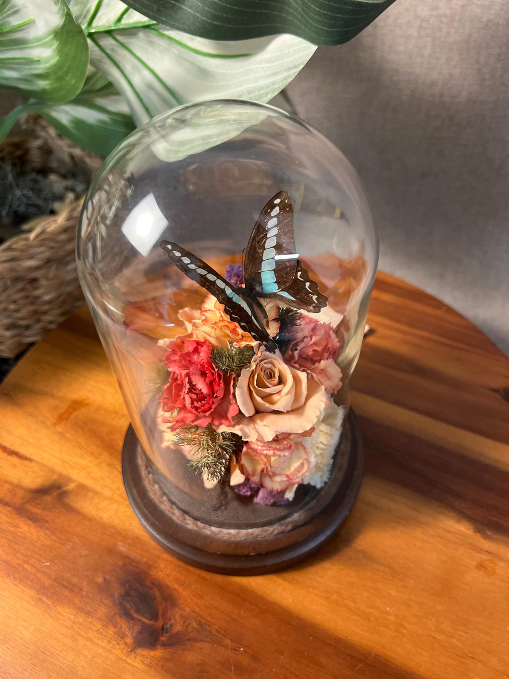 Small Vtg 1970's Taxidermy Butterfly Dried Flowers Glass Dome Cloche Wood Base
