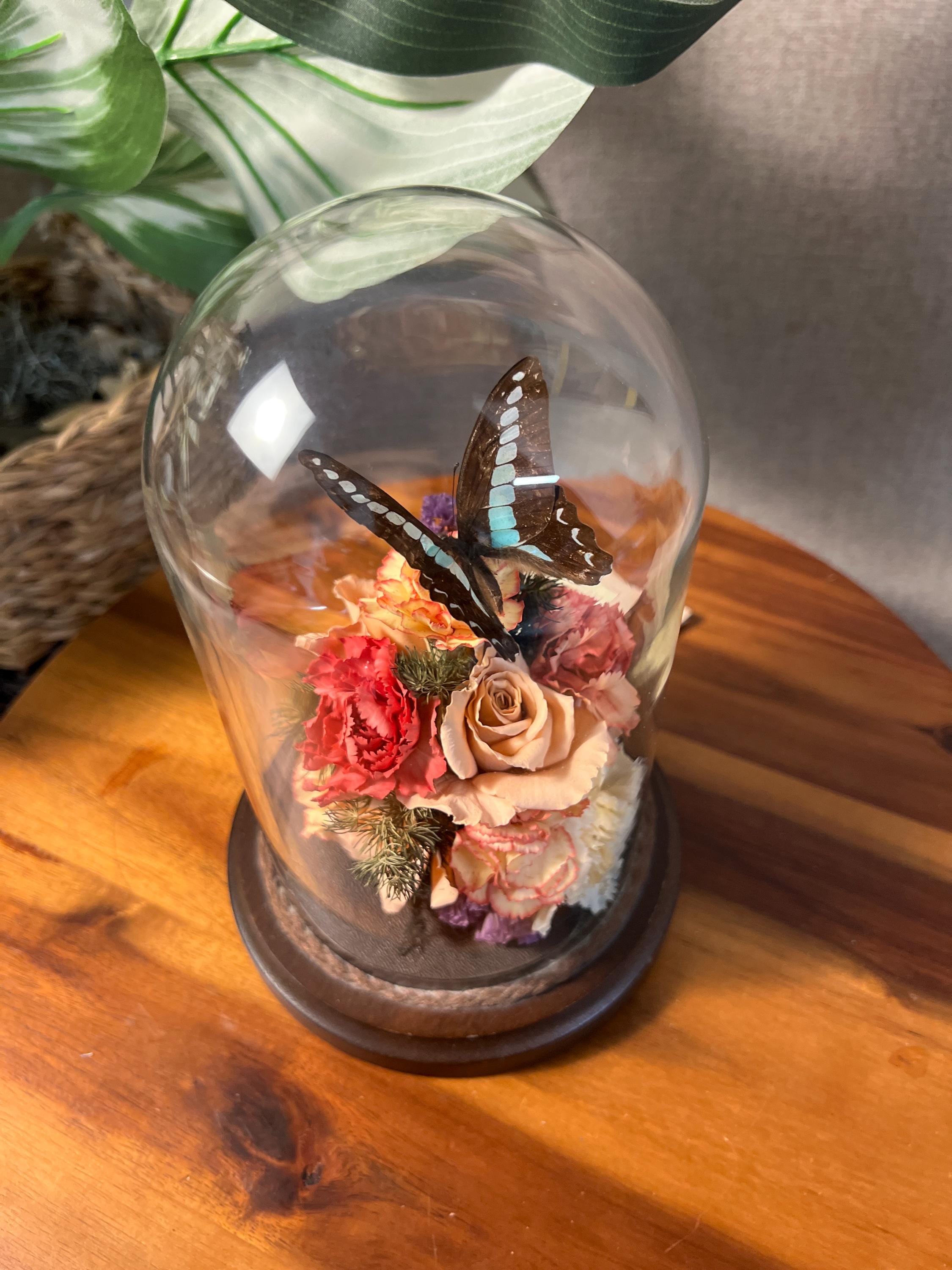 Small Vtg 1970's Taxidermy Butterfly Dried Flowers Glass Dome Cloche Wood Base