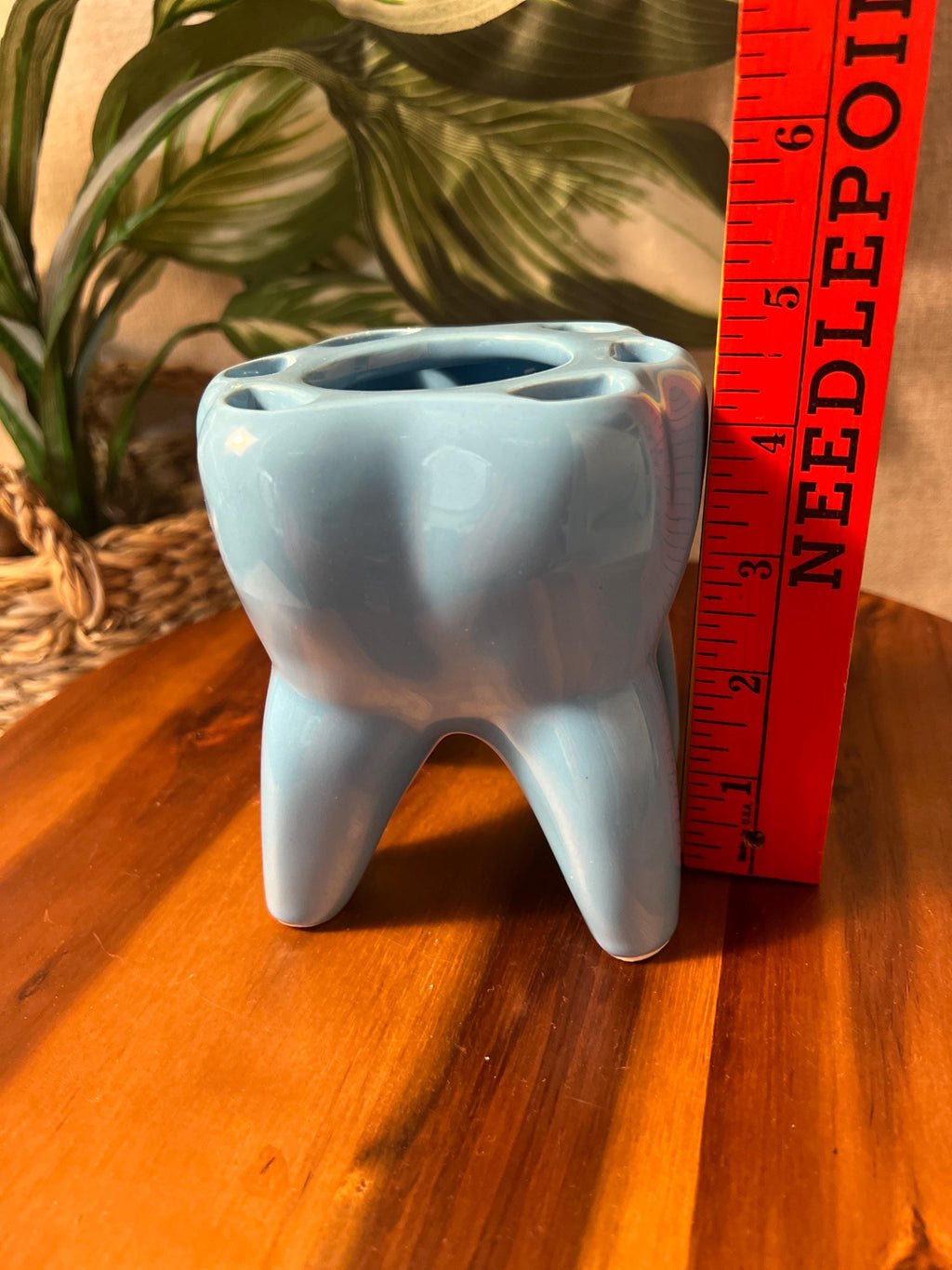 Tooth Planter Pen Holder Molar Ceramic Oddity Figural Dentist Hygienist